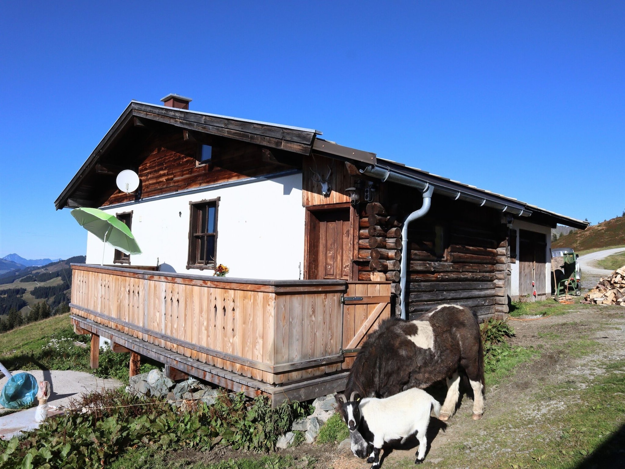   Almhütte Gipfelblick