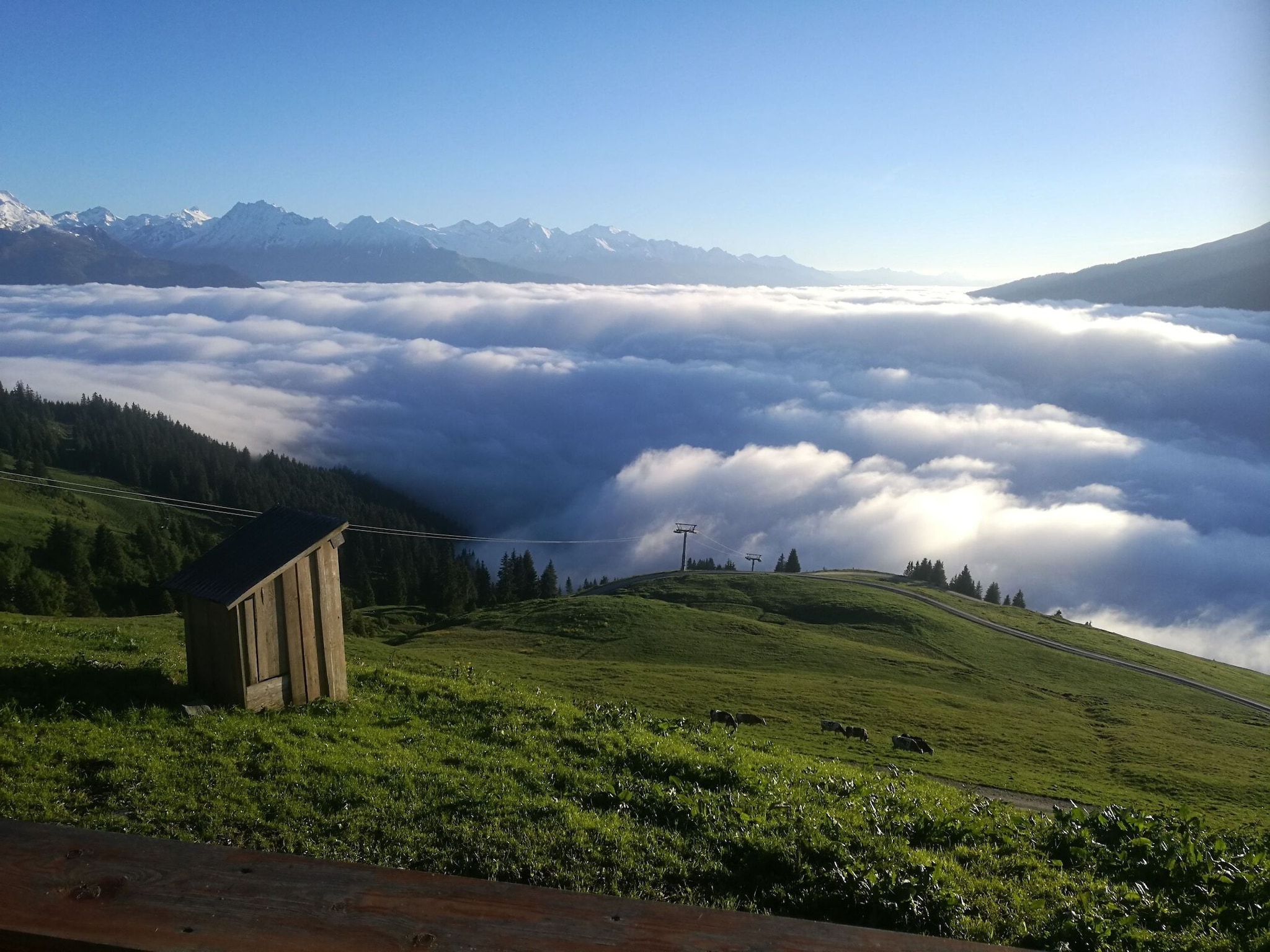   Almhütte Gipfelblick