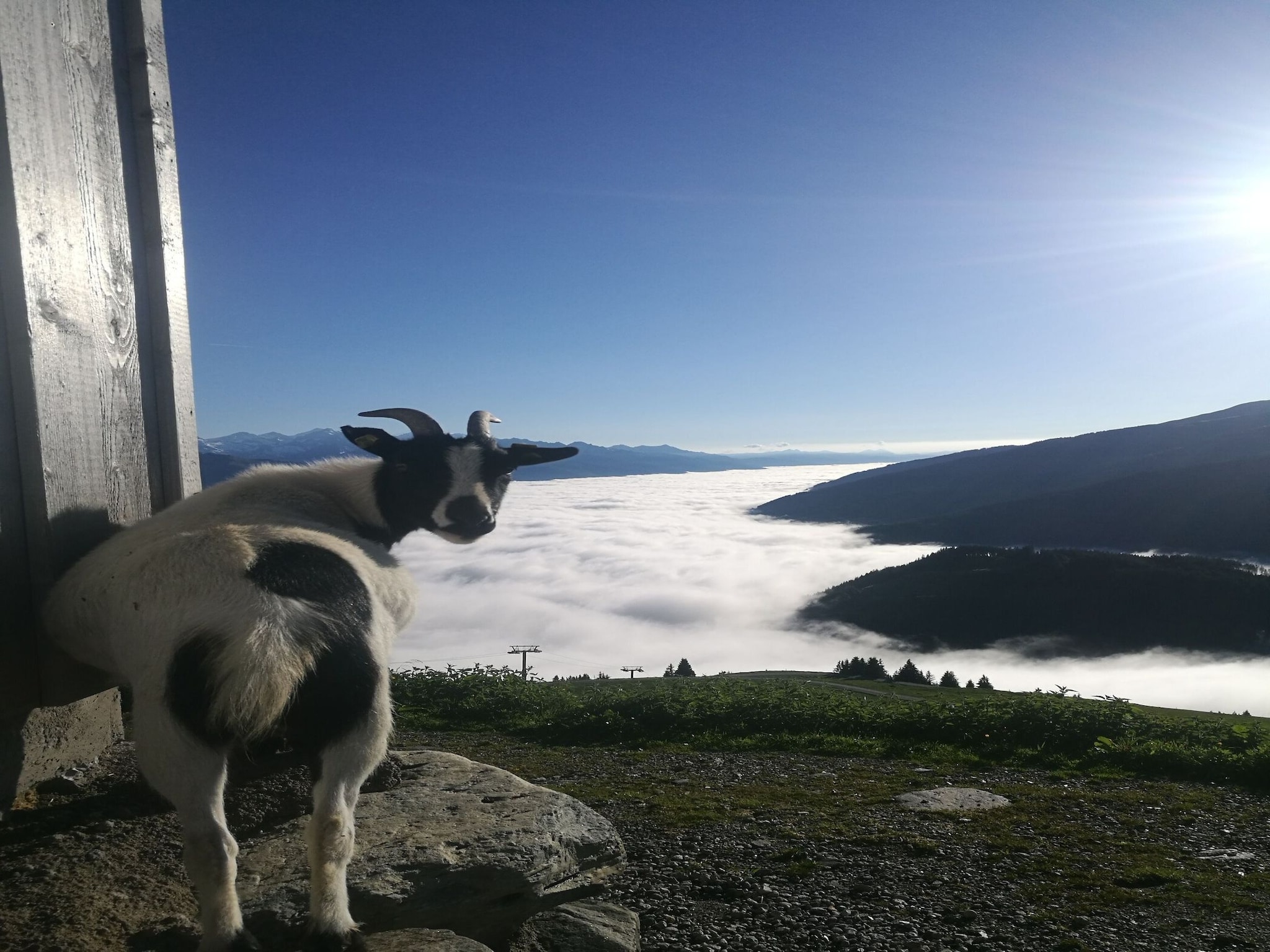   Almhütte Gipfelblick