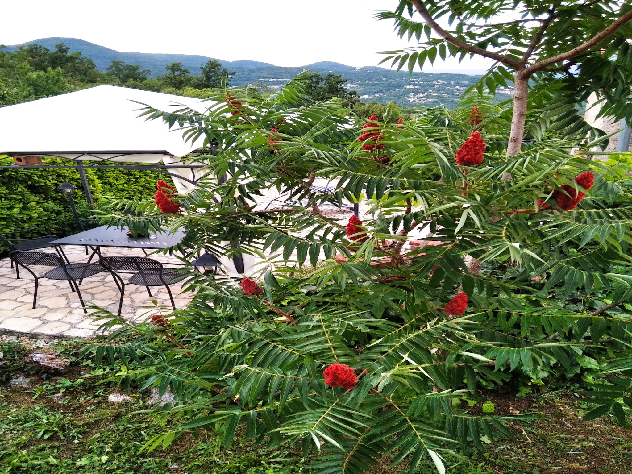   Holiday home Iva - Lovran Dobrec - ca 80 qm f&#252