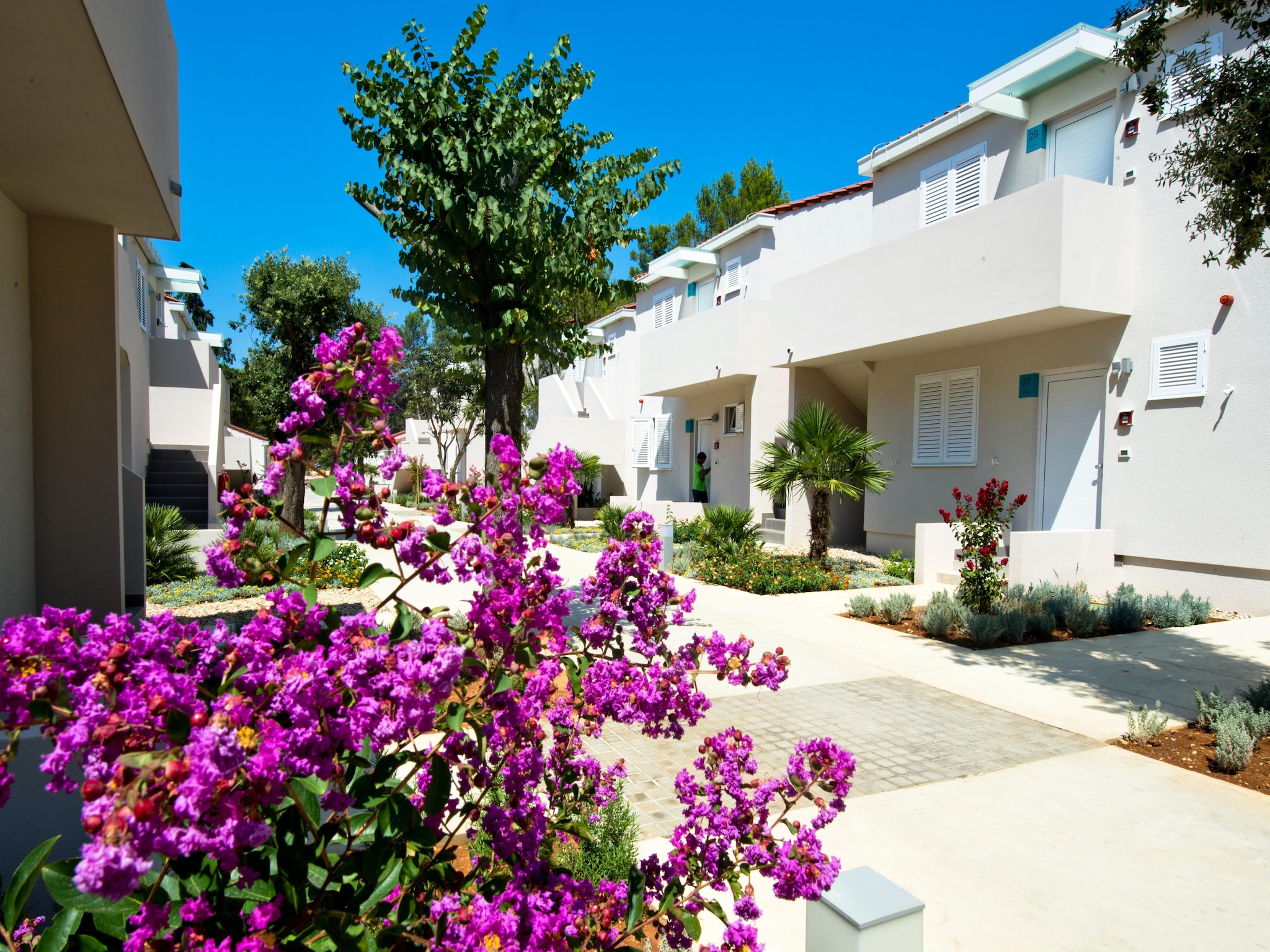 Apartmá Zaton Holiday Resort - AP/4 Superior 4 Stars - 45q