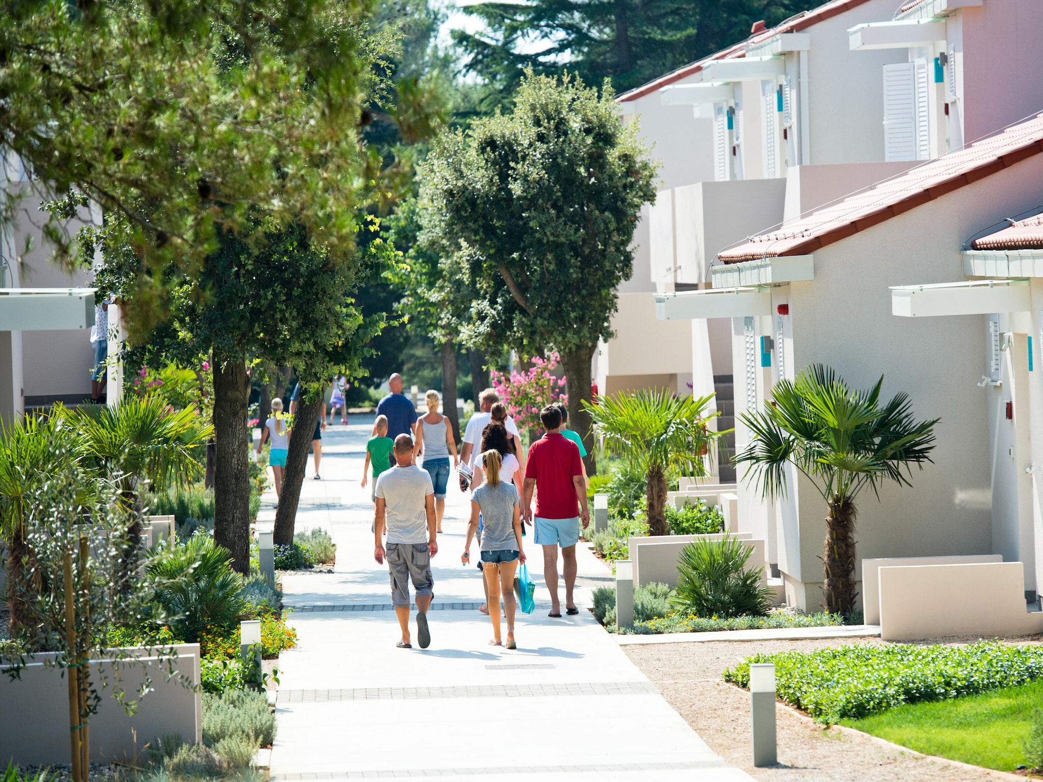 Apartmá Zaton Holiday Resort - AP/4 Superior 4 Stars - 45q