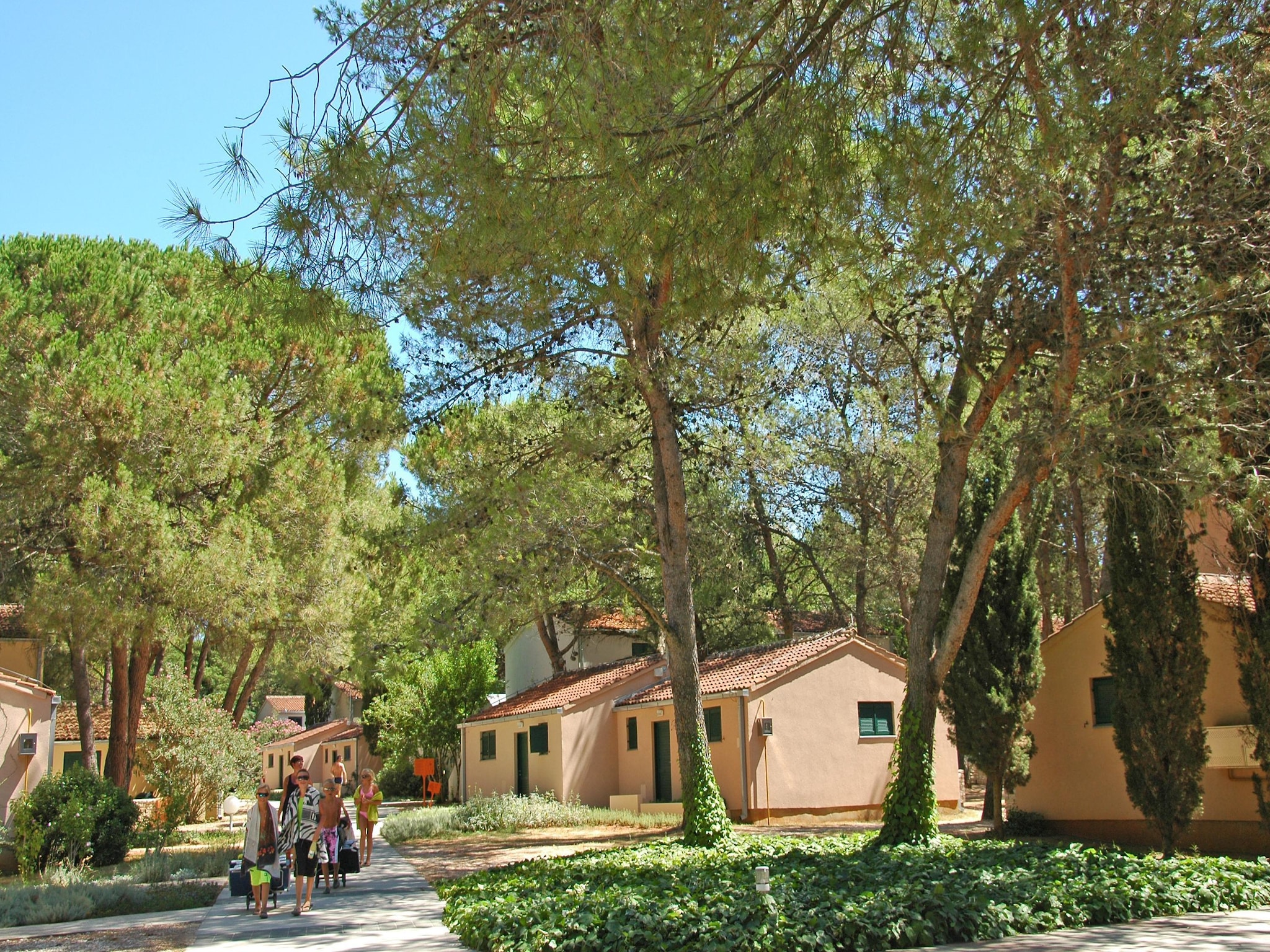 Apartmá Zaton Holiday Resort Zaton-Nin-2-Raum-App AP/4 - 3