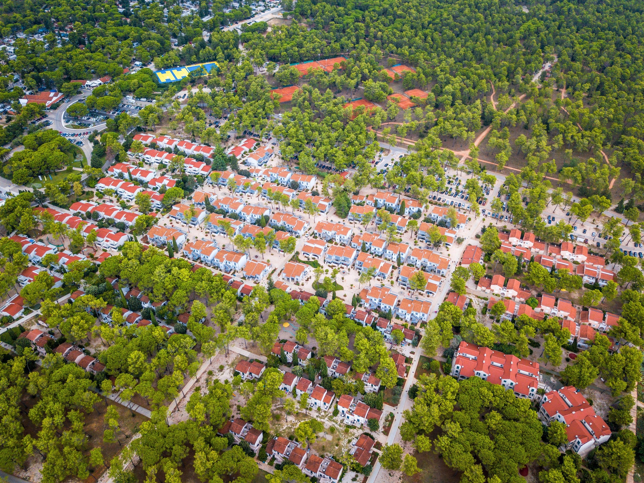 Apartmá Zaton Holiday Resort Zaton-Nin-2-Raum-App AP/4 - 3