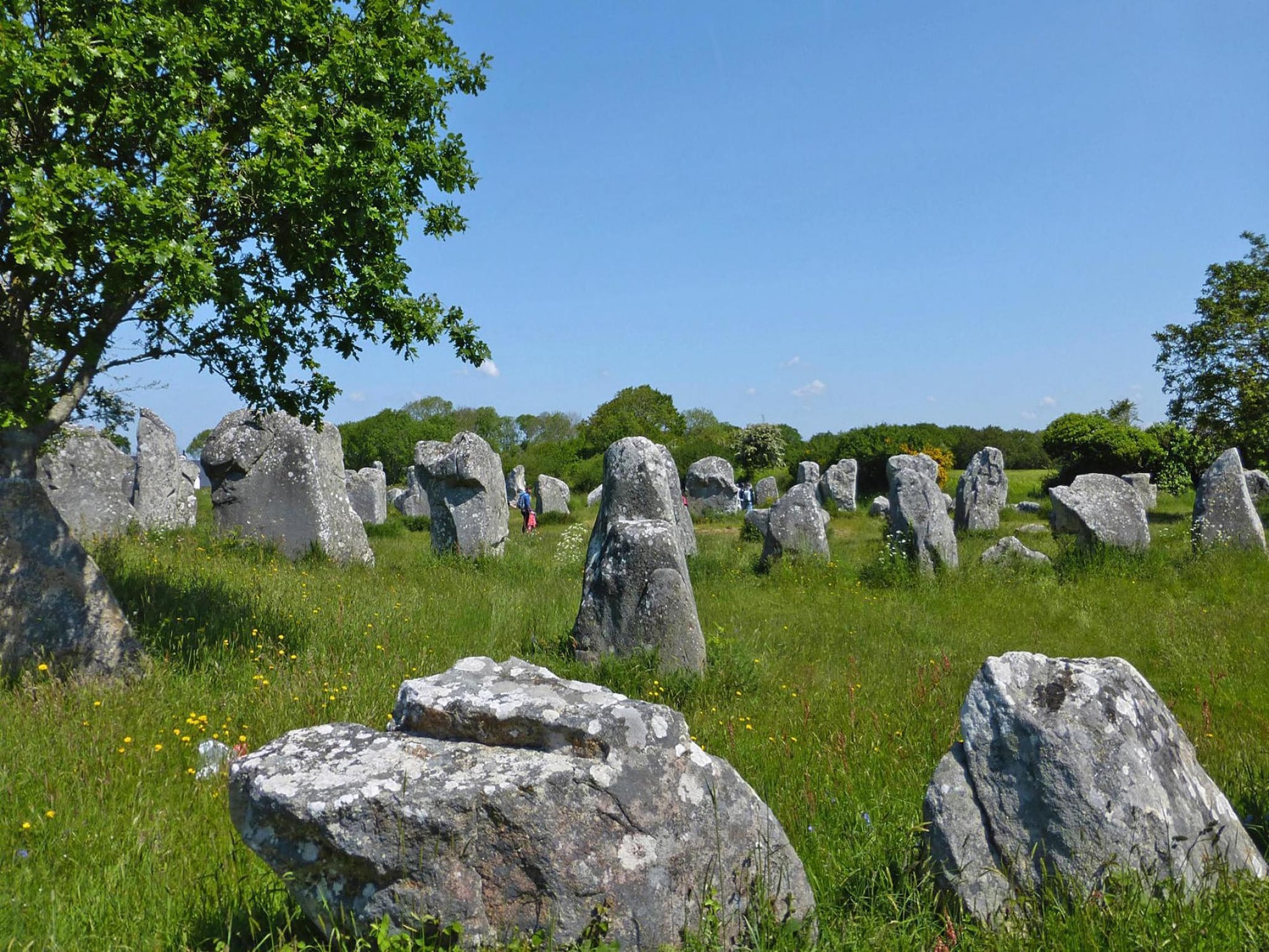   holiday home Carnac