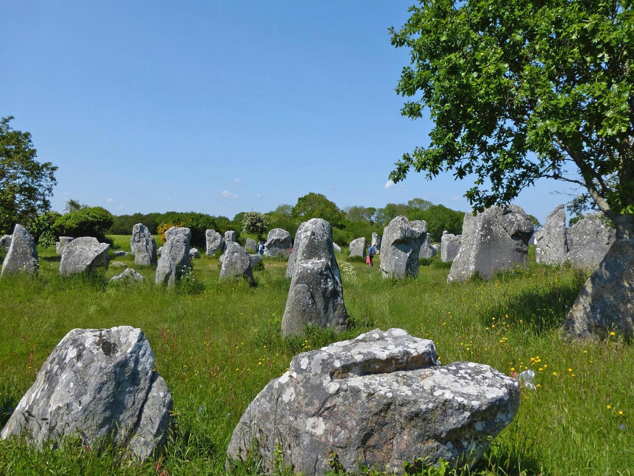   holiday home Carnac
