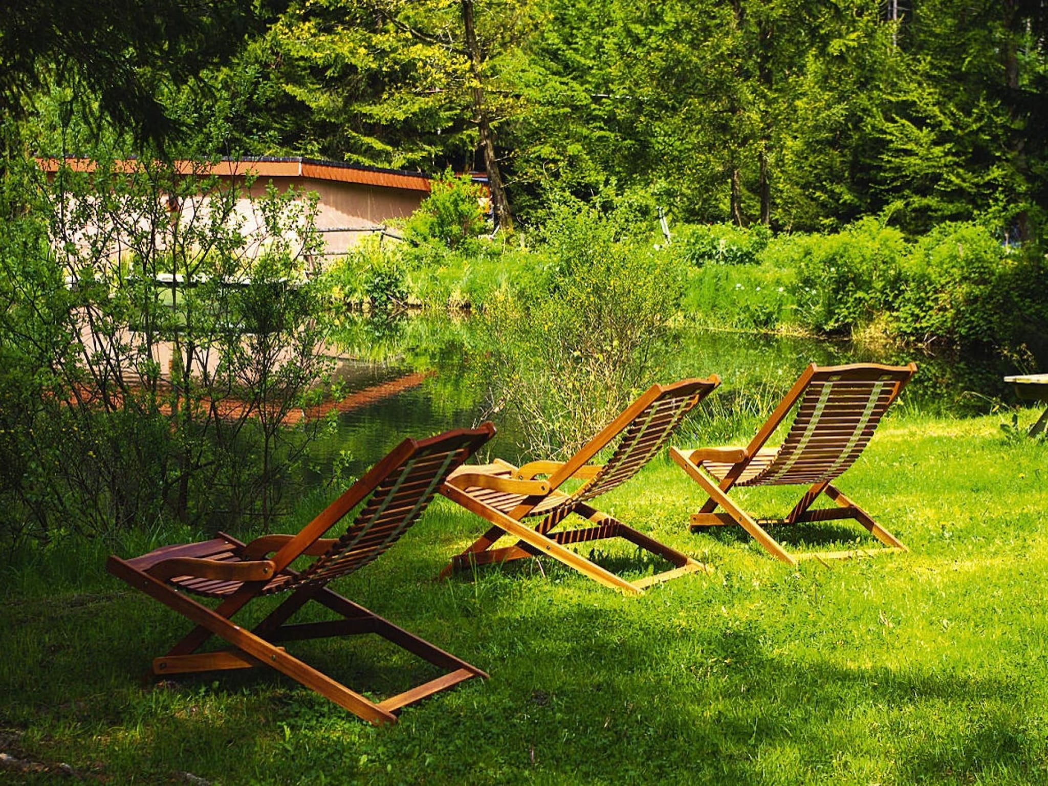 Ferienwohnung Holiday flats Forellenhof Dabo // Typ B 4 Erw  55
