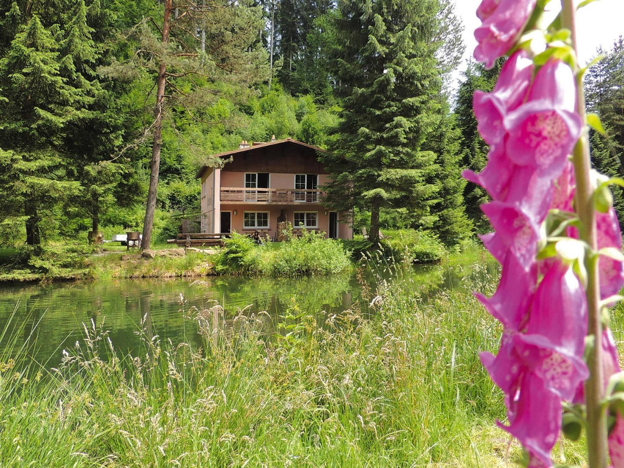 Ferienwohnung Holiday flats Forellenhof Dabo // Typ B 4 Erw  55