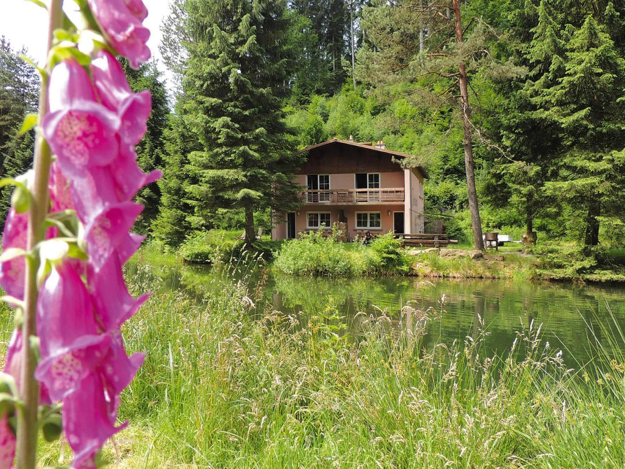 Ferienwohnung Holiday flats Forellenhof Dabo // Typ B 4 Erw  55