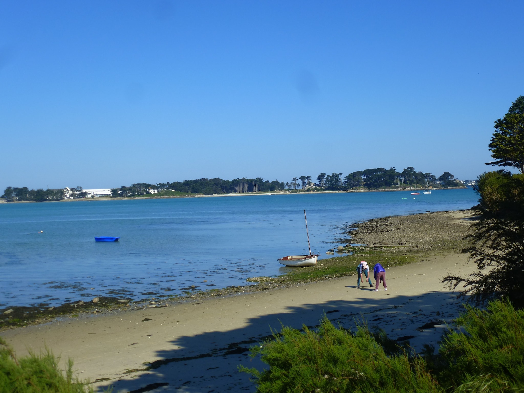 公寓 180° Panorama Meerblick Ferienwohnung Roscoff