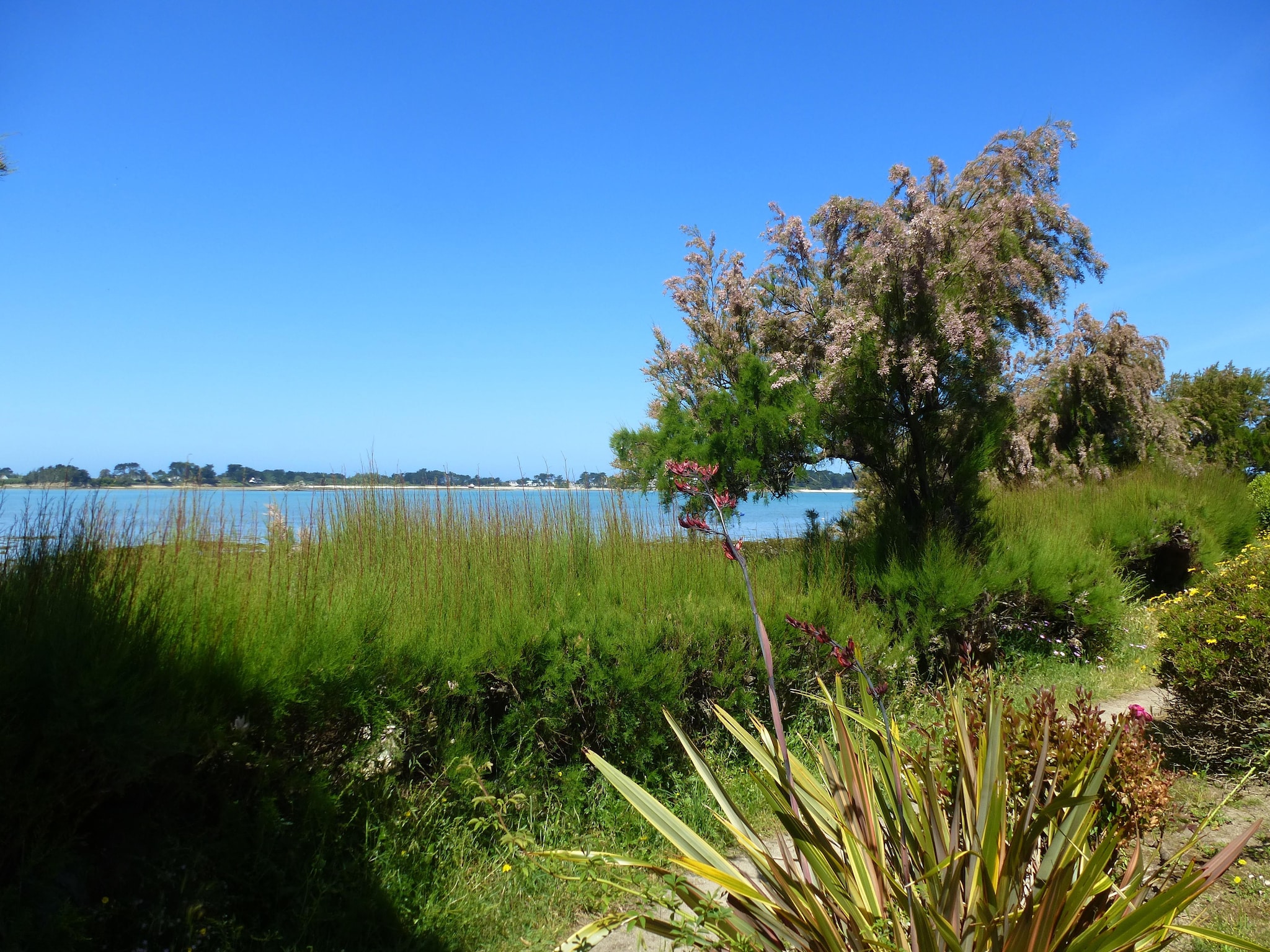 公寓 180° Panorama Meerblick Ferienwohnung Roscoff