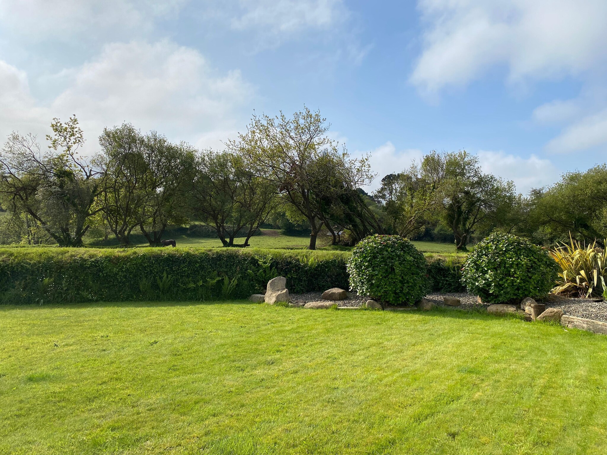   holiday home, Perros-Guirec-4 pers., n°17