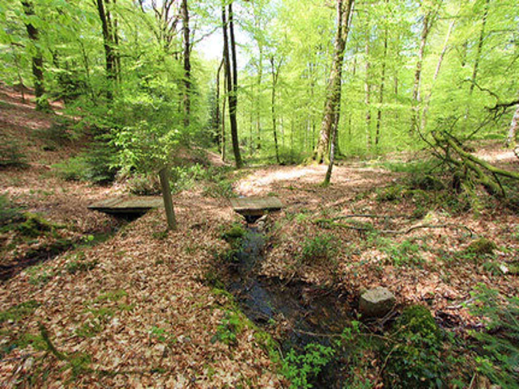   holiday home Reipertswiller