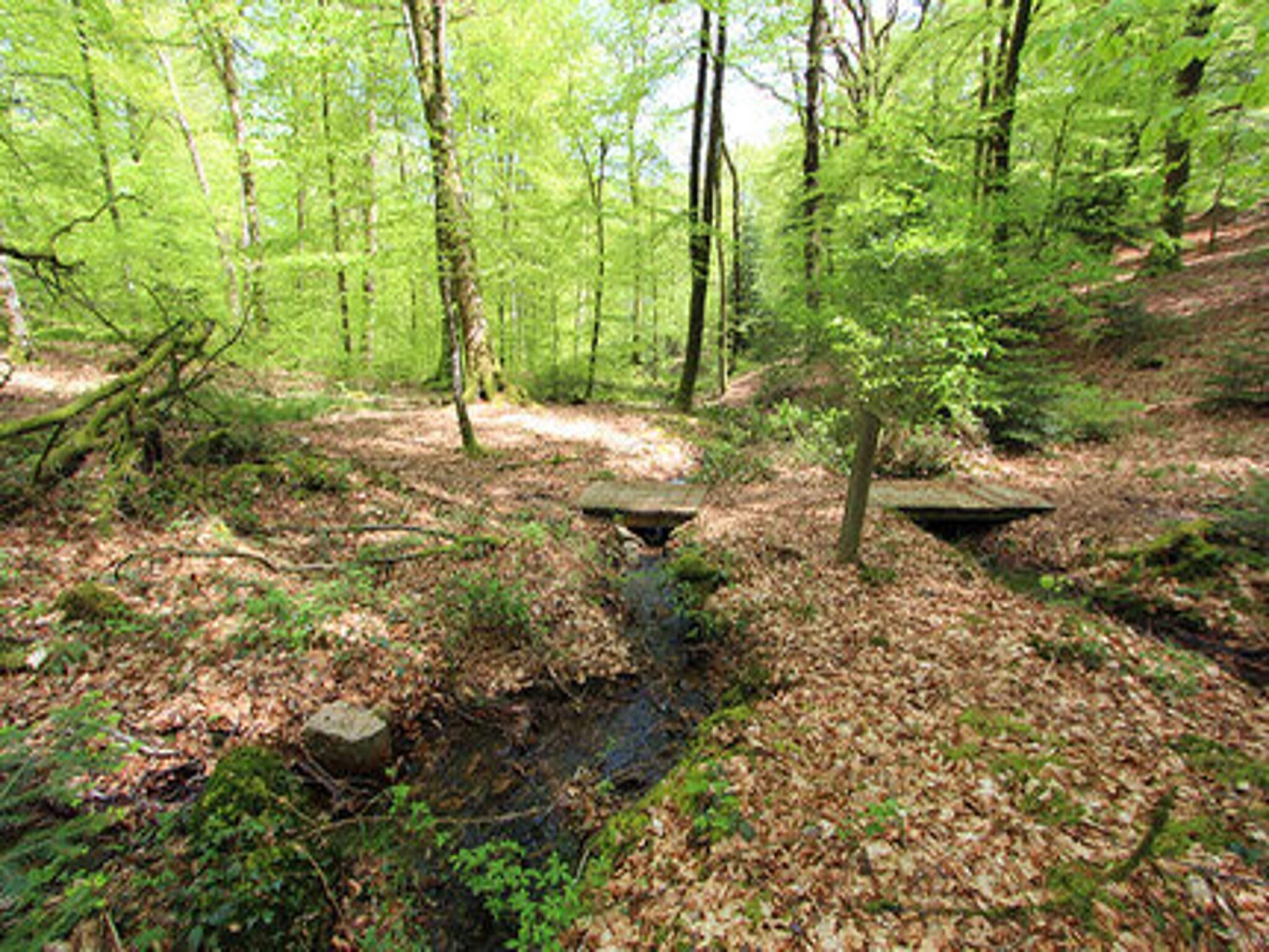   holiday home Reipertswiller