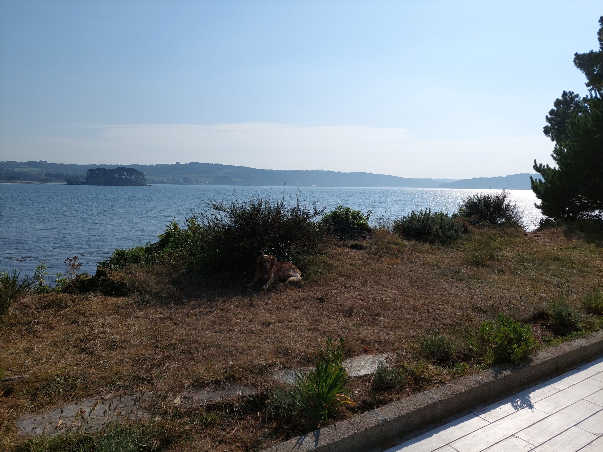   Ferienhaus vom Meer umgeben Hanvec