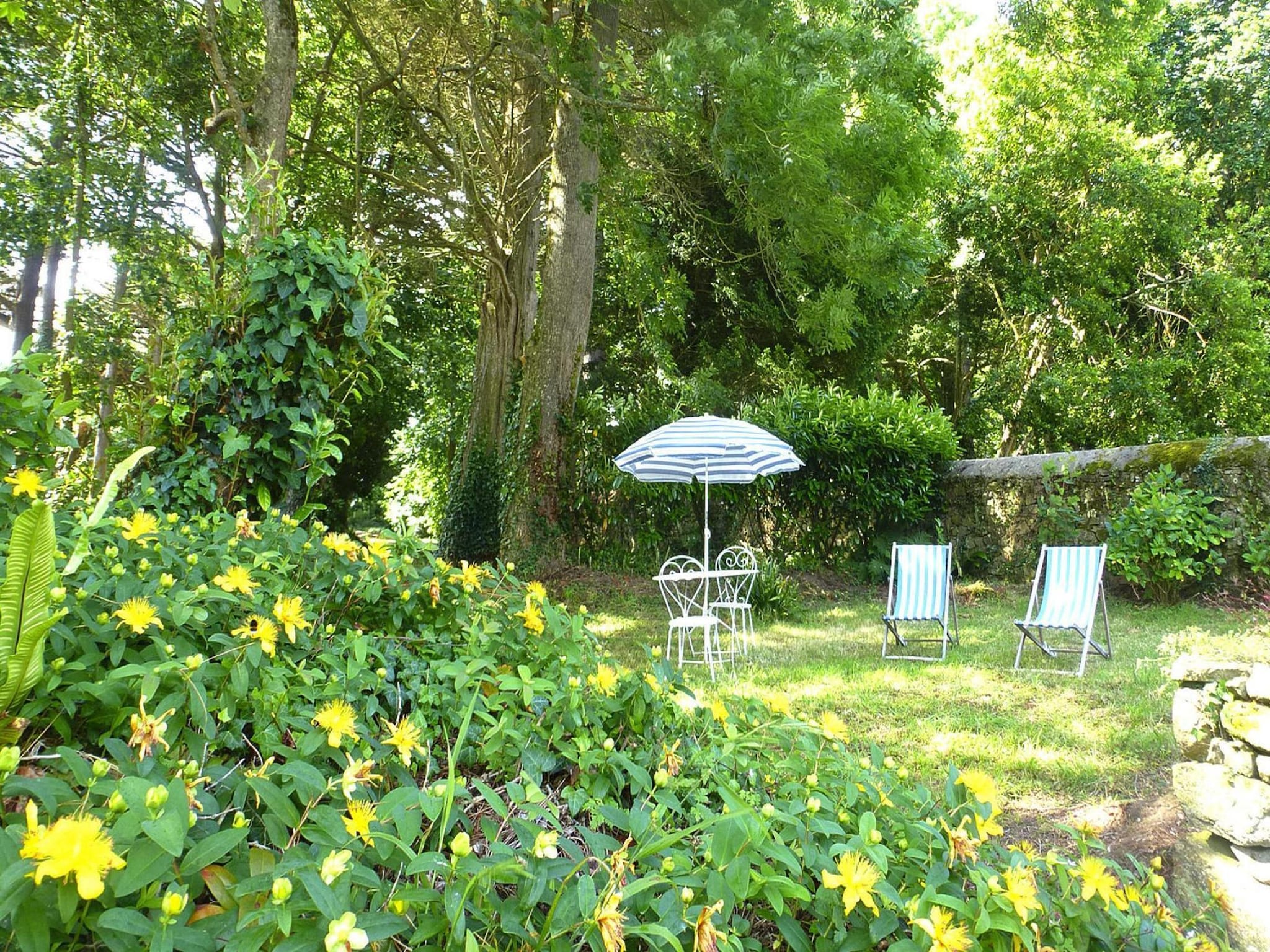   Beautiful country house on common property Plougre