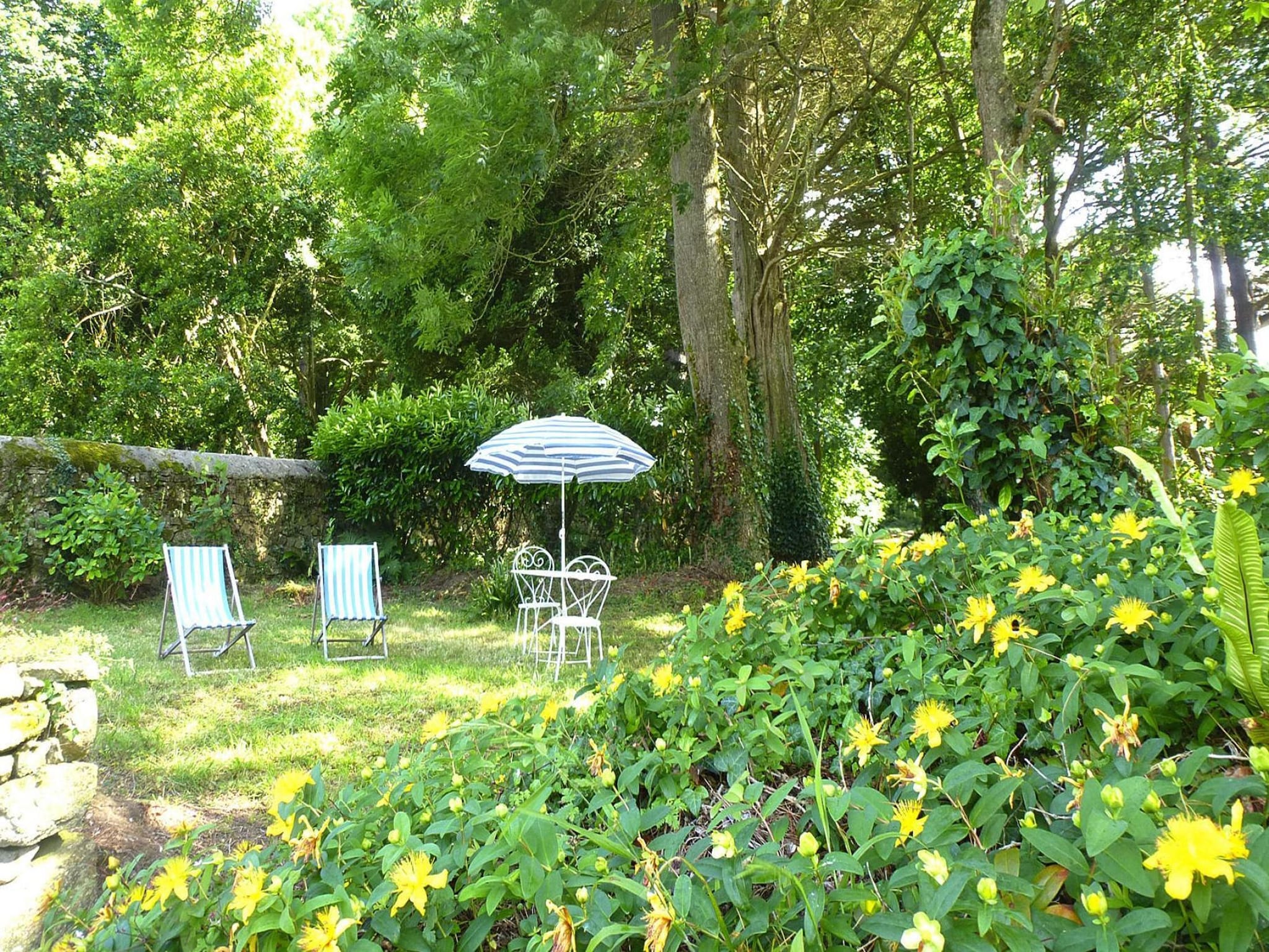   Beautiful country house on common property Plougre