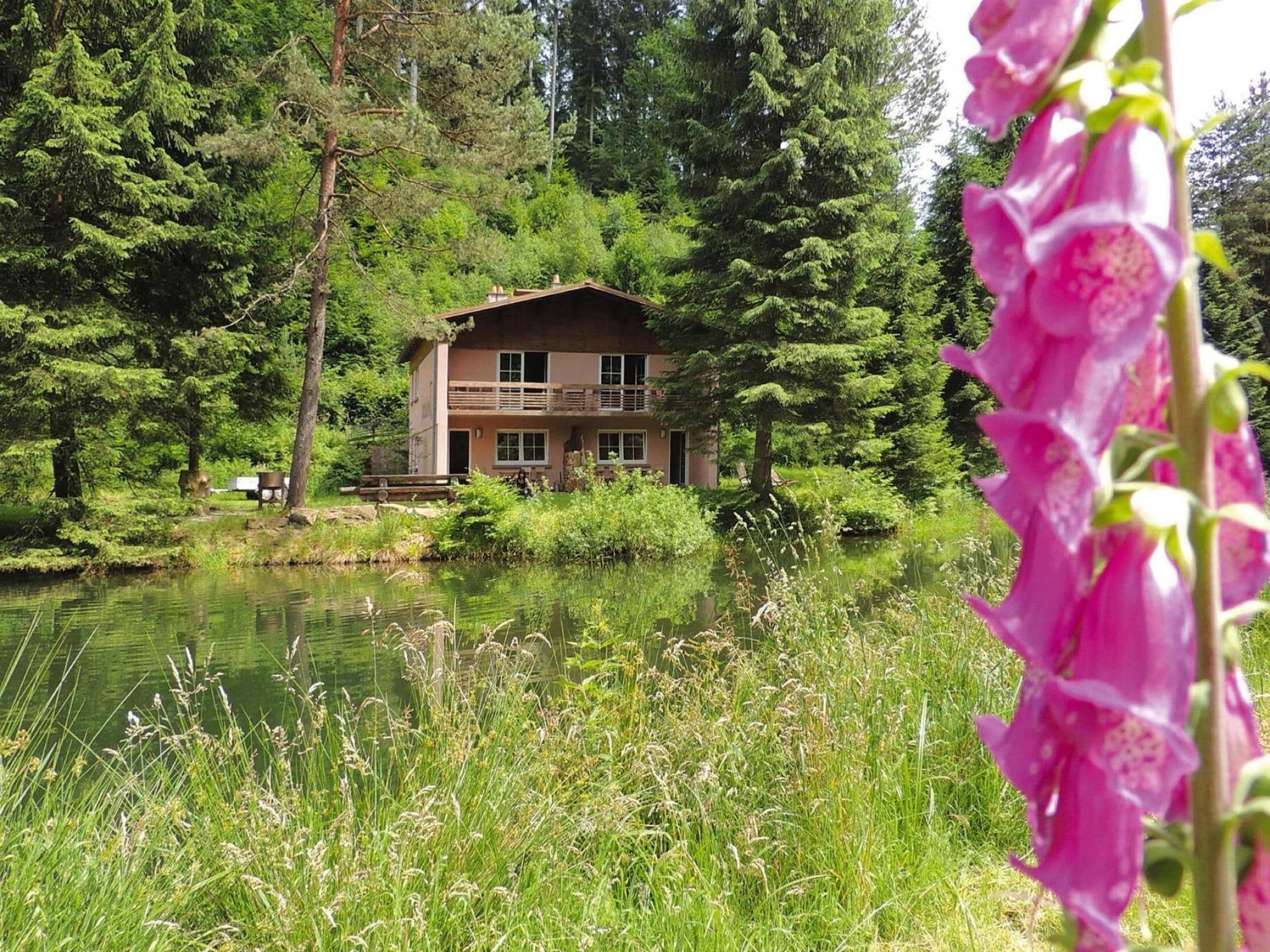 Ferienwohnung Holiday flats Forellenhof Dabo // Typ C 7 Pers 95