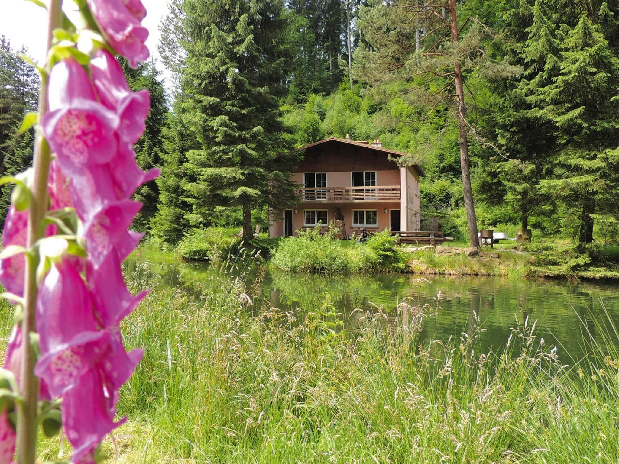 Ferienwohnung Holiday flats Forellenhof Dabo // Typ C 7 Pers 95