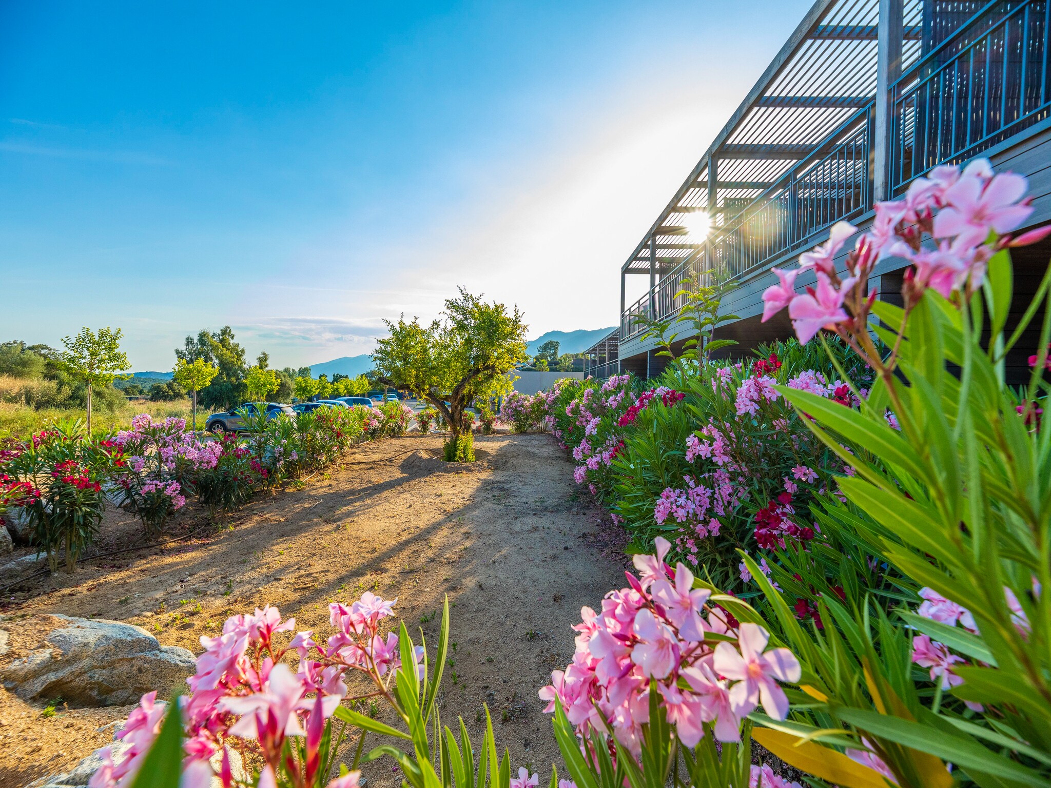   Residence Les Terrasses d'Arsella Porto Vecchio -