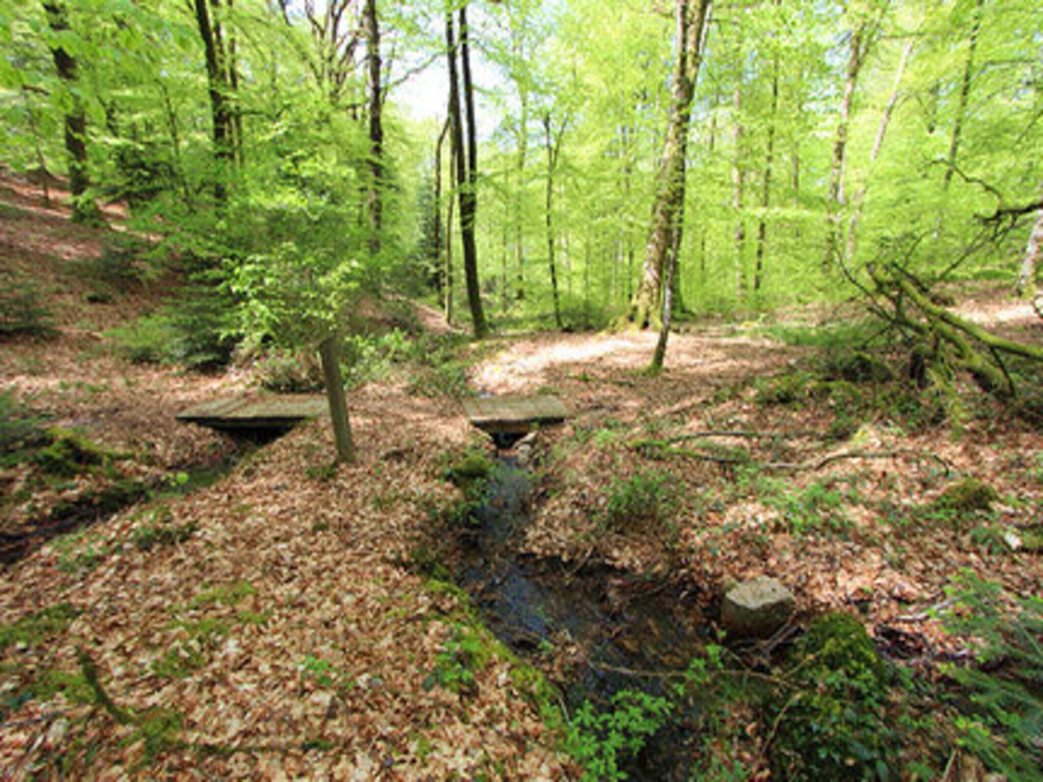   holiday home Reipertswiller