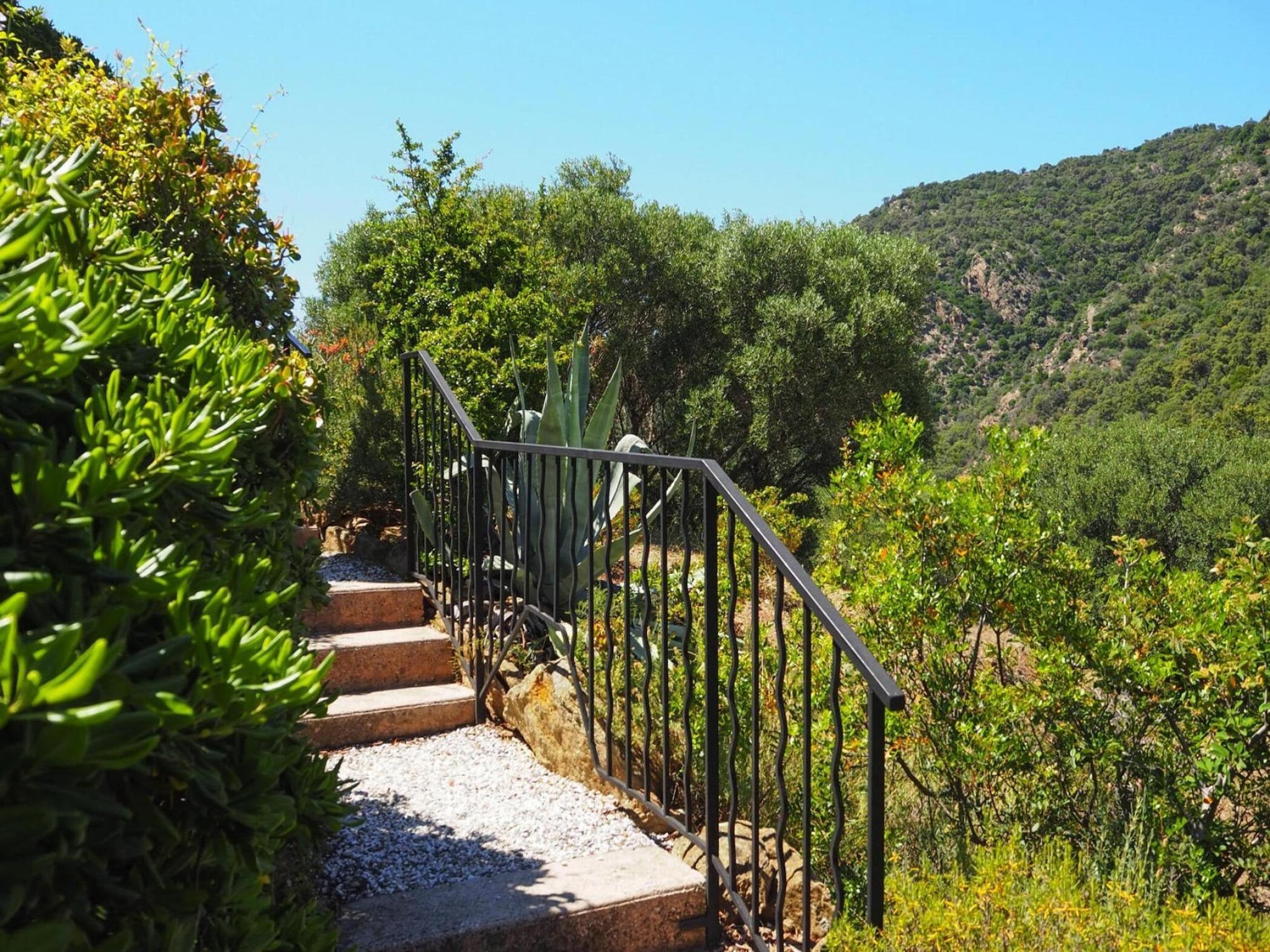   Reihenhaus in Le Lavandou