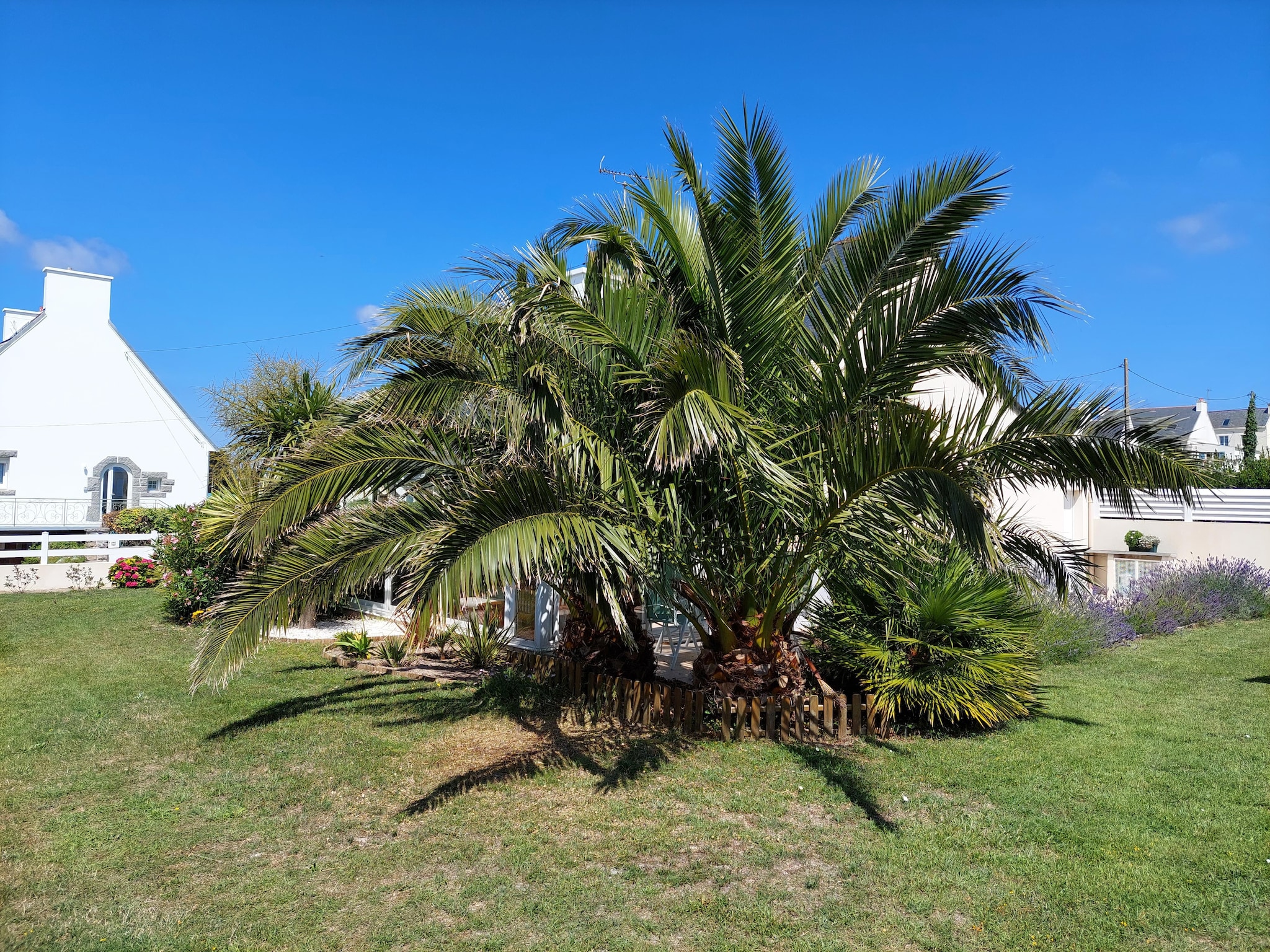   Ferienhaus in unmittelbarer Meernähe Plouhine