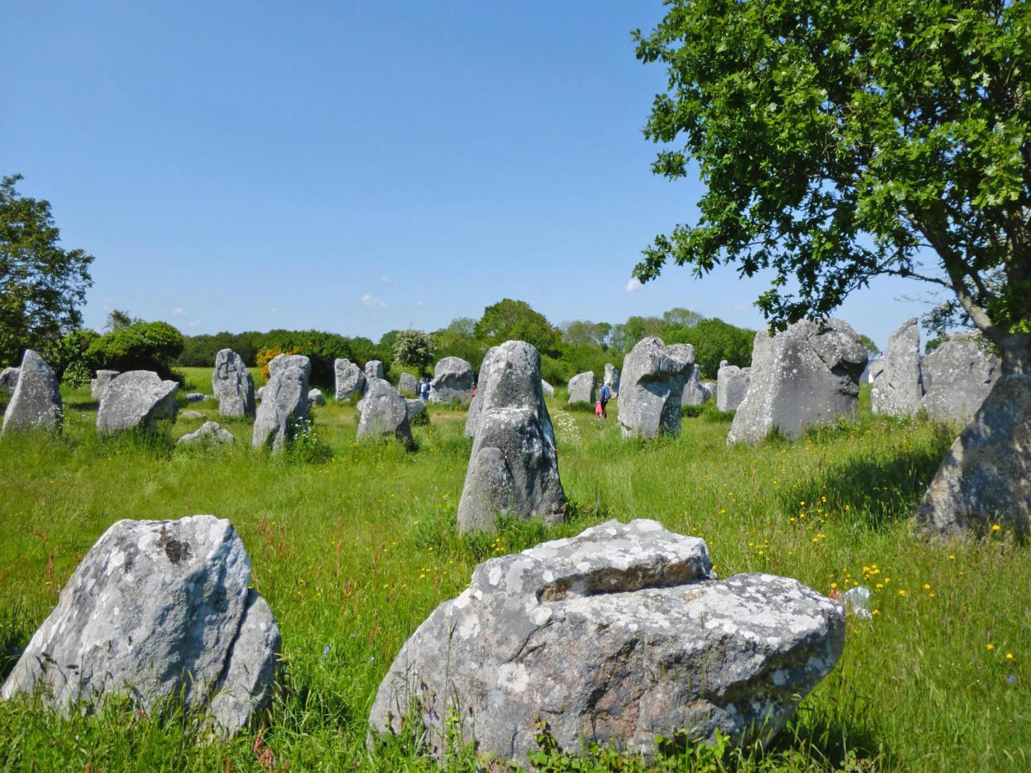   holiday home Carnac