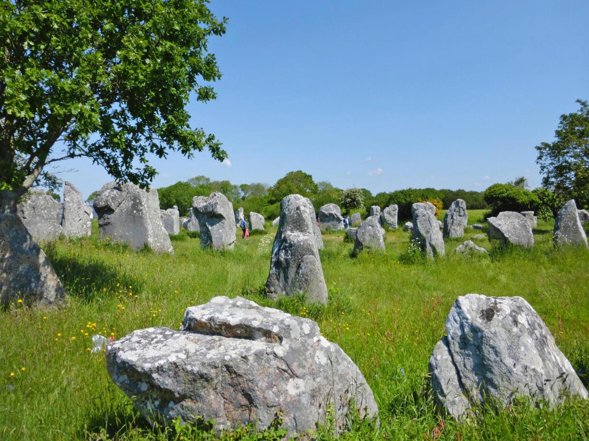   holiday home Carnac
