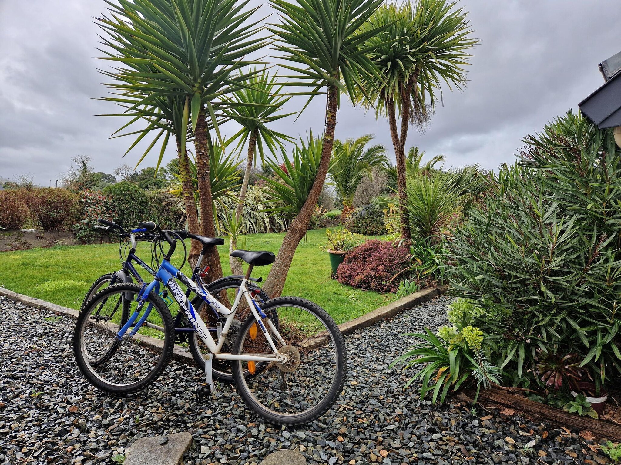   Pretty holiday home in palm garden near coast Pleu