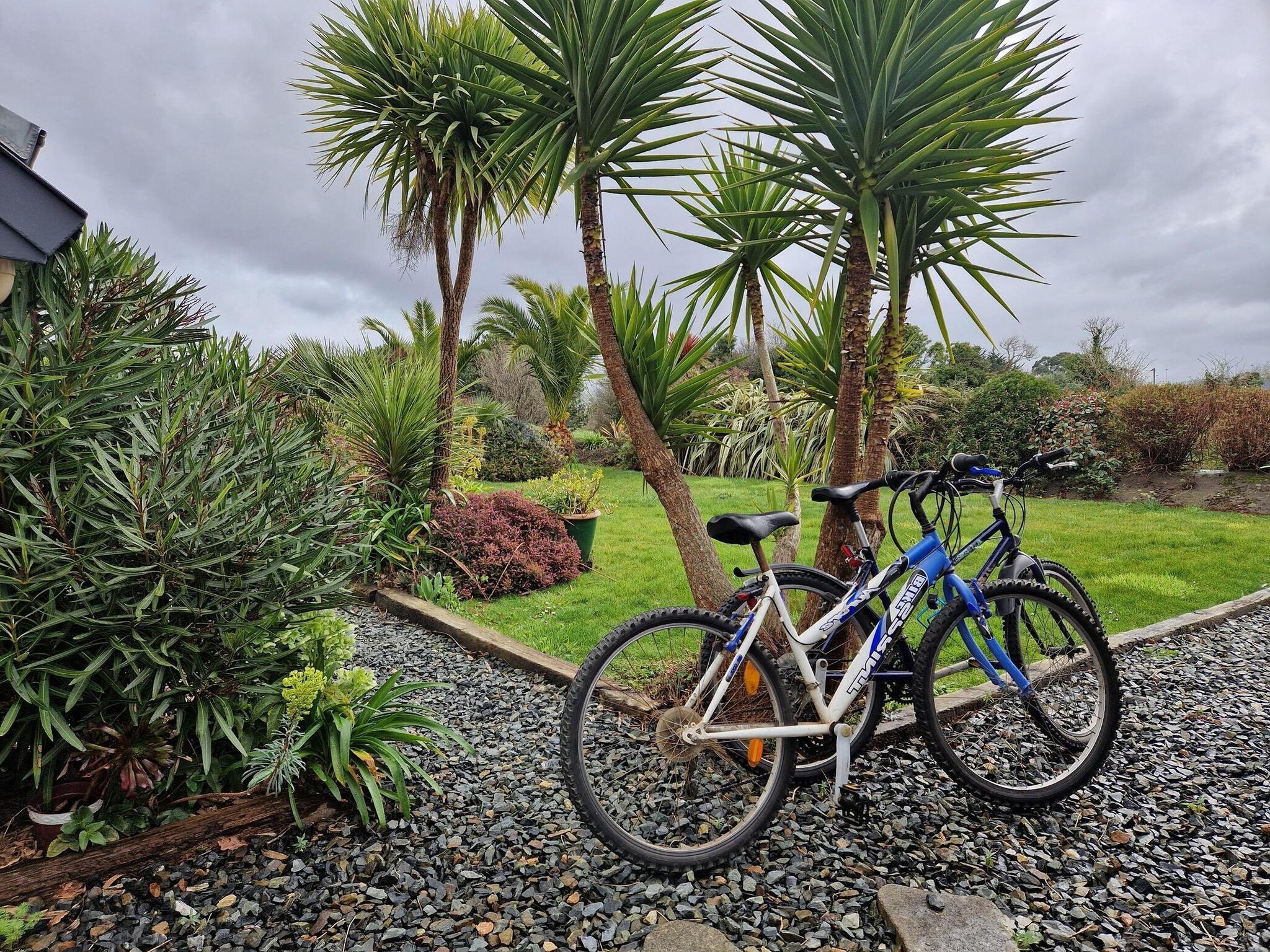   Pretty holiday home in palm garden near coast Pleu