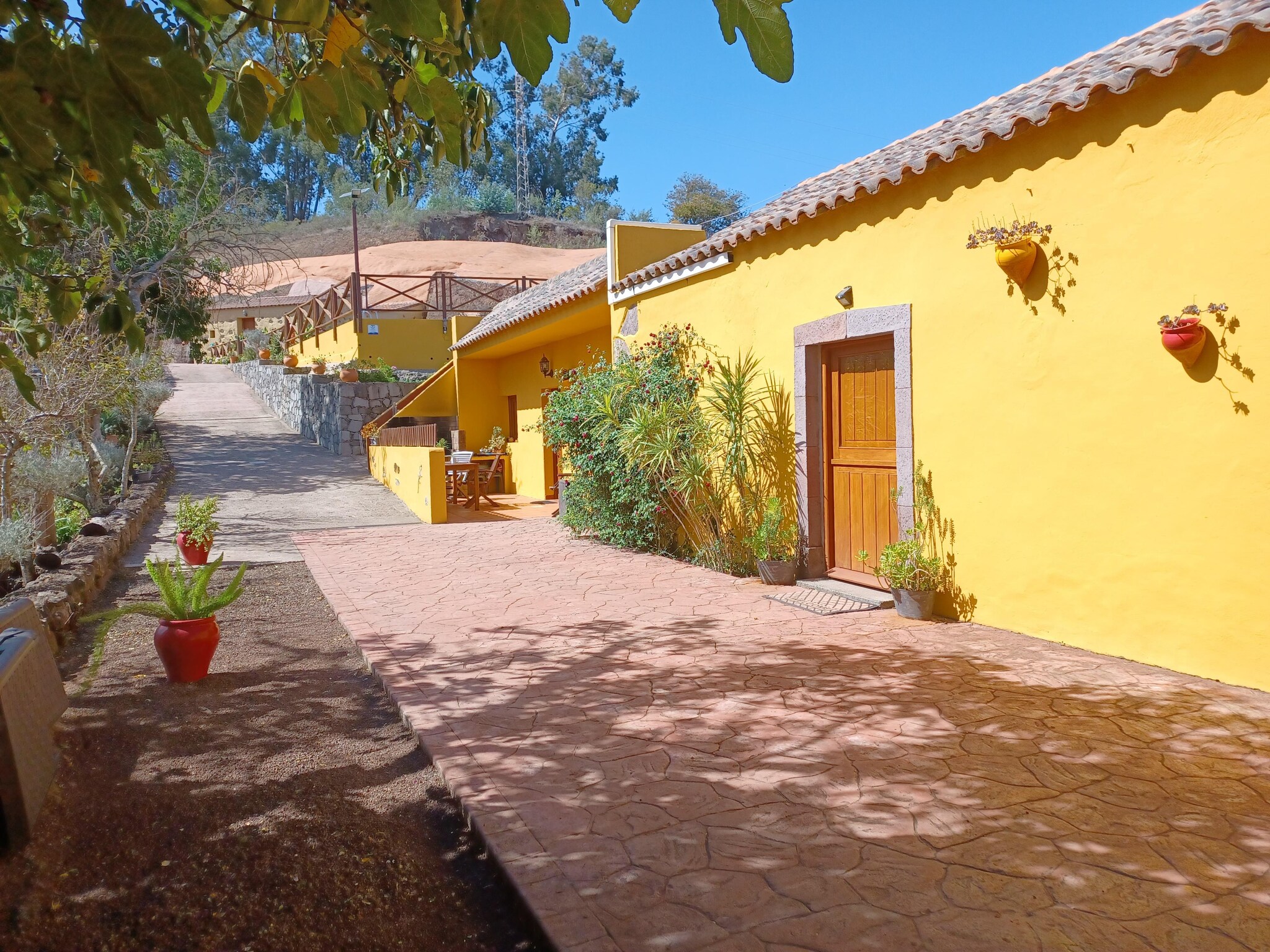   Finca Naturacanaria - Casa Las Dalias