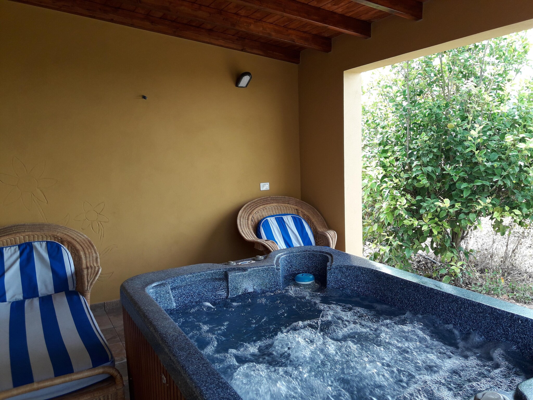   Finca Naturacanaria - Casa Las Dalias