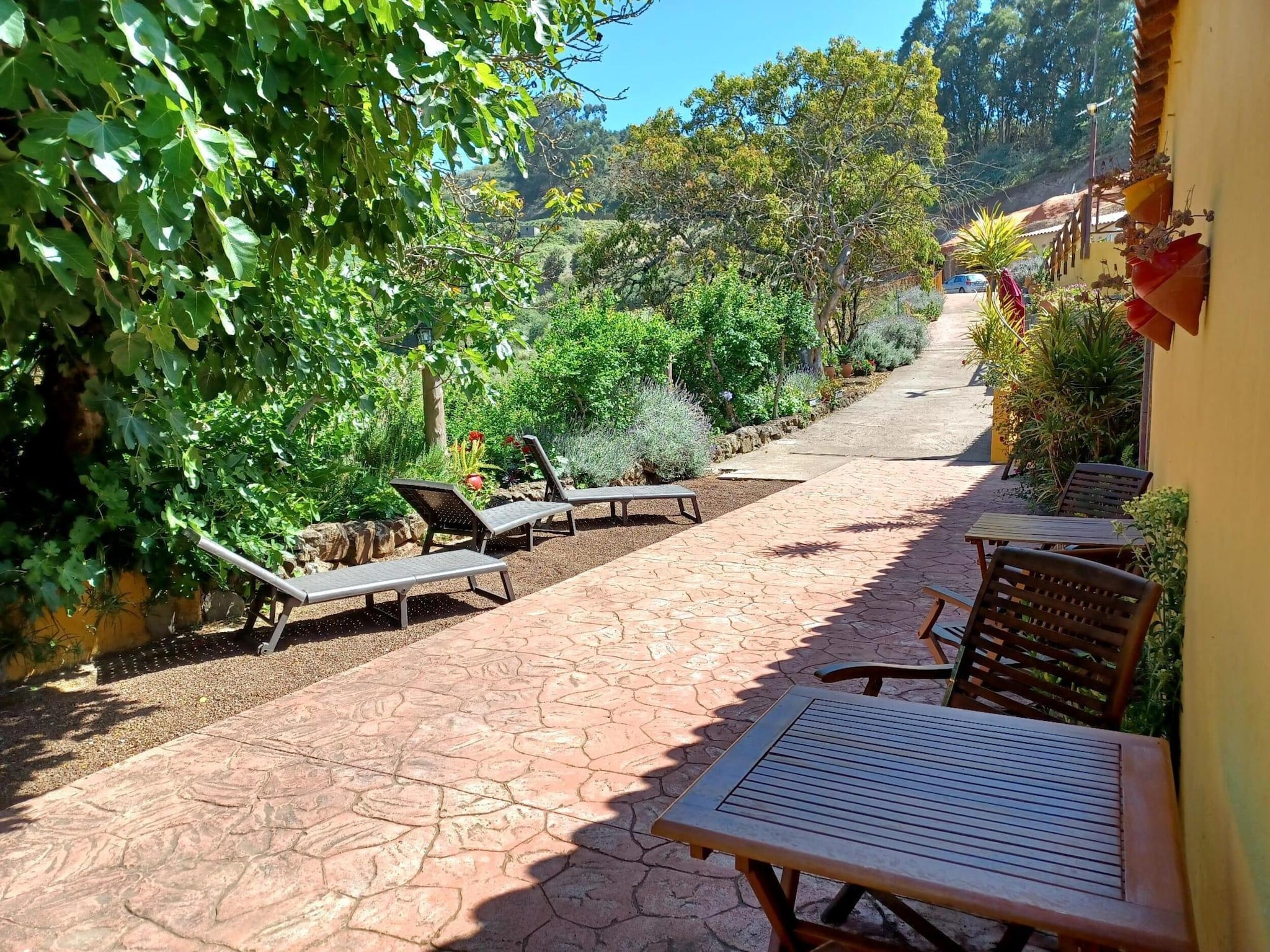   Finca Naturacanaria - Casa Azuaje