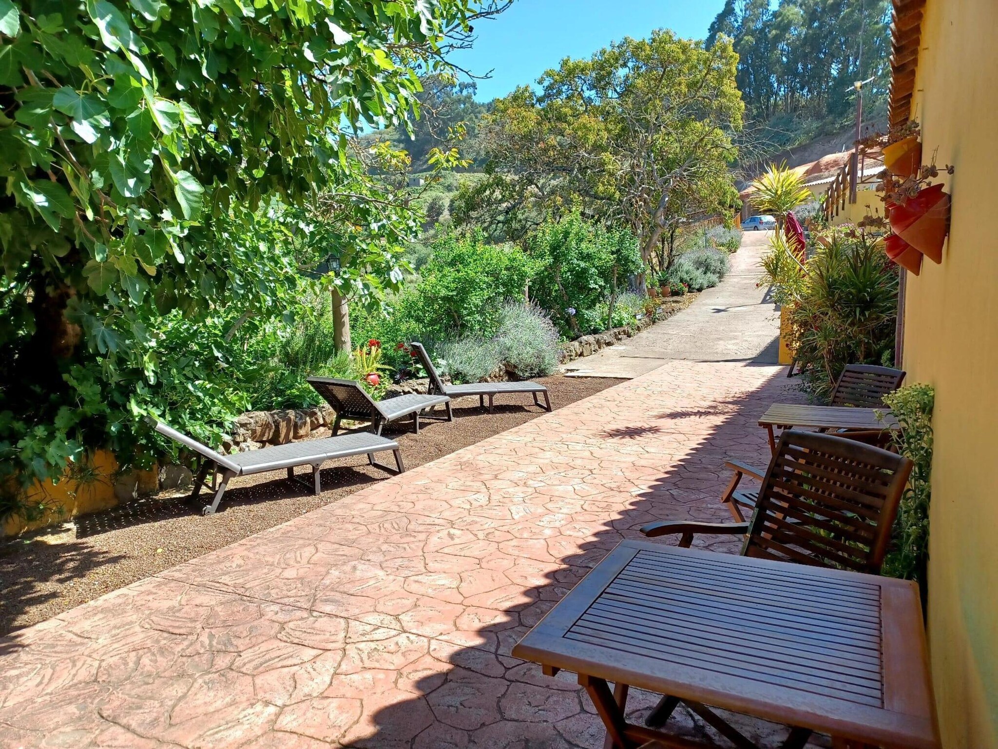   Finca Naturacanaria - Casa Azuaje