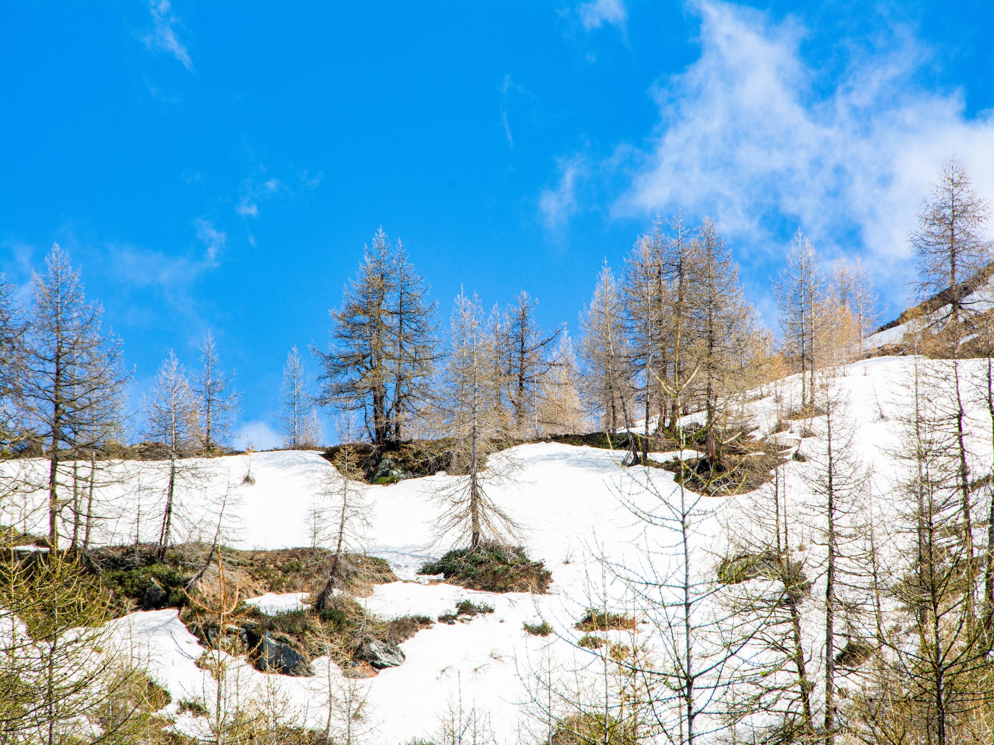 Leilighet One-Room Apartment directly on Cervinia Ski slopes