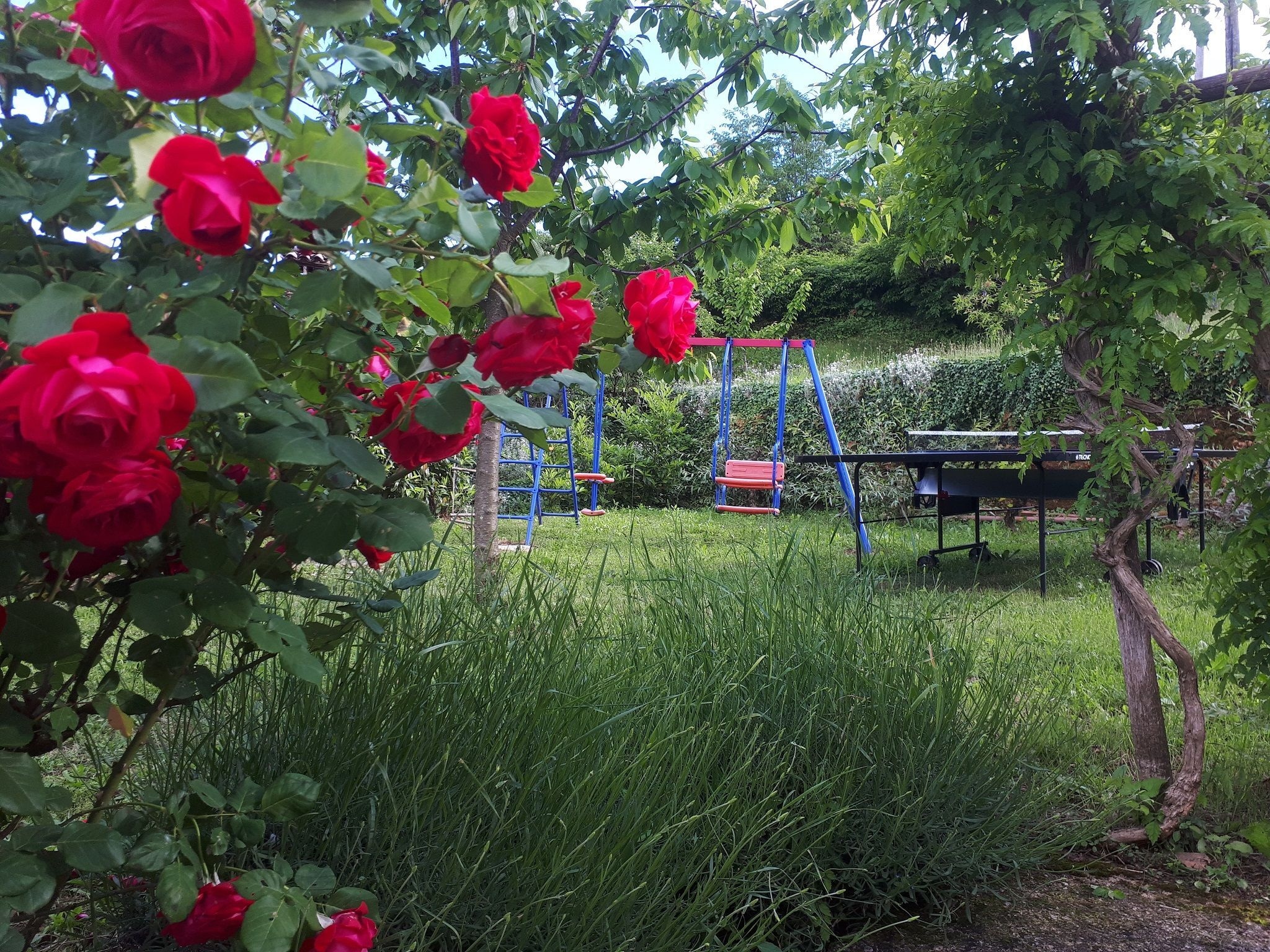  Holiday home Mikleus in Lovrec - Dobrec - ca 113 q