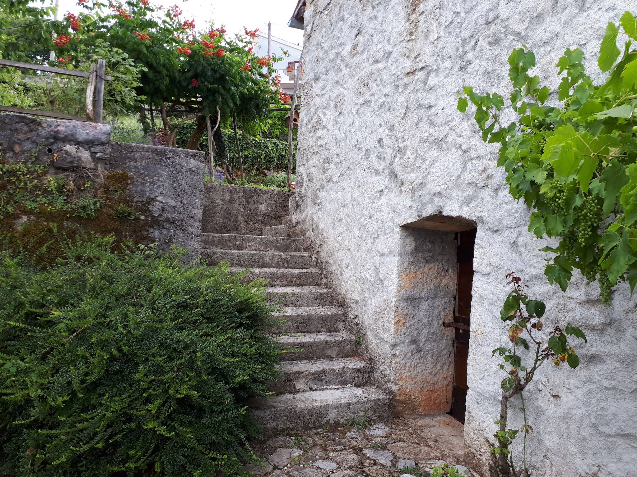   Holiday home Mikleus in Lovrec - Dobrec - ca 113 q