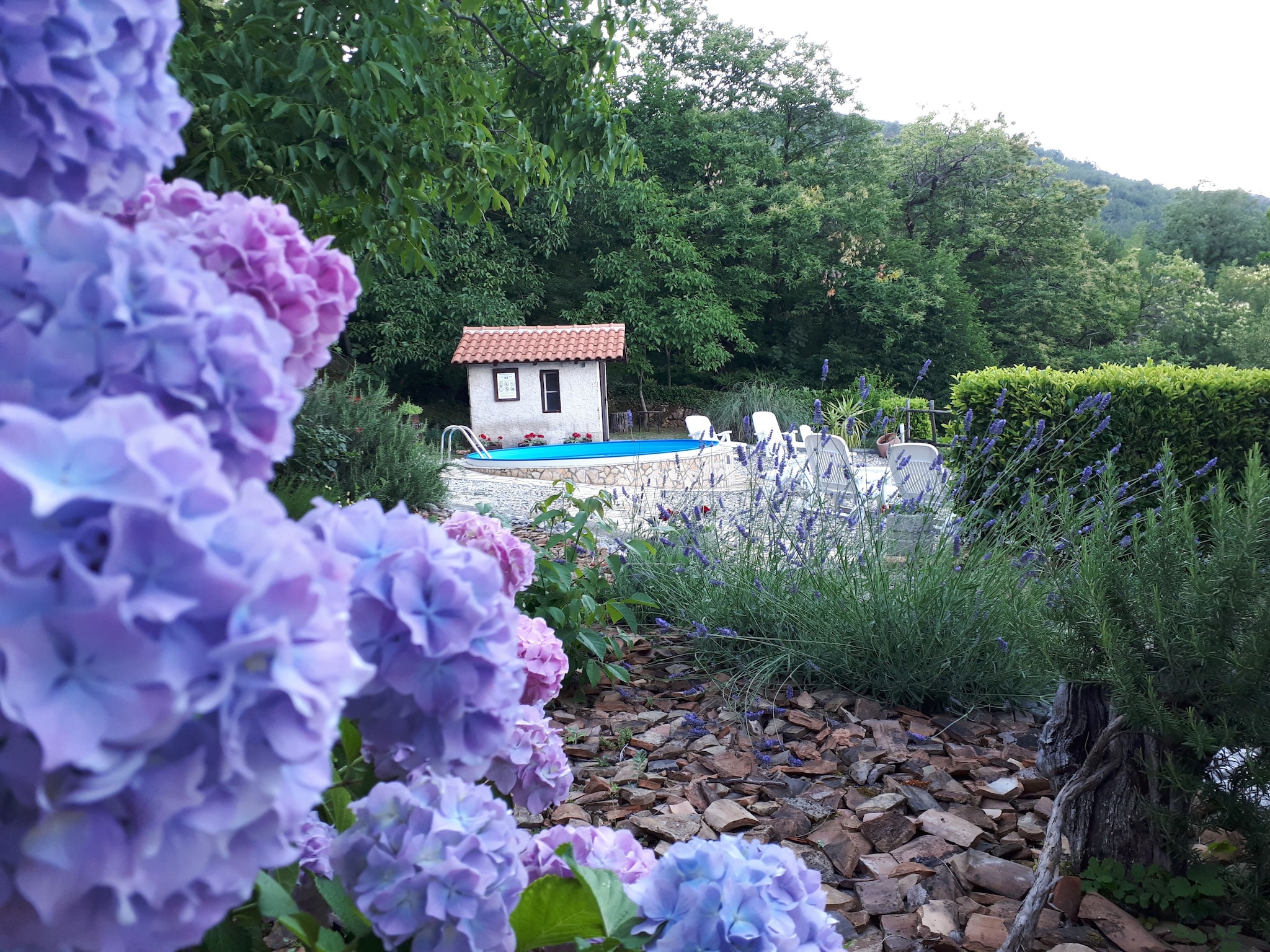   Holiday home Mikleus in Lovrec - Dobrec - ca 113 q