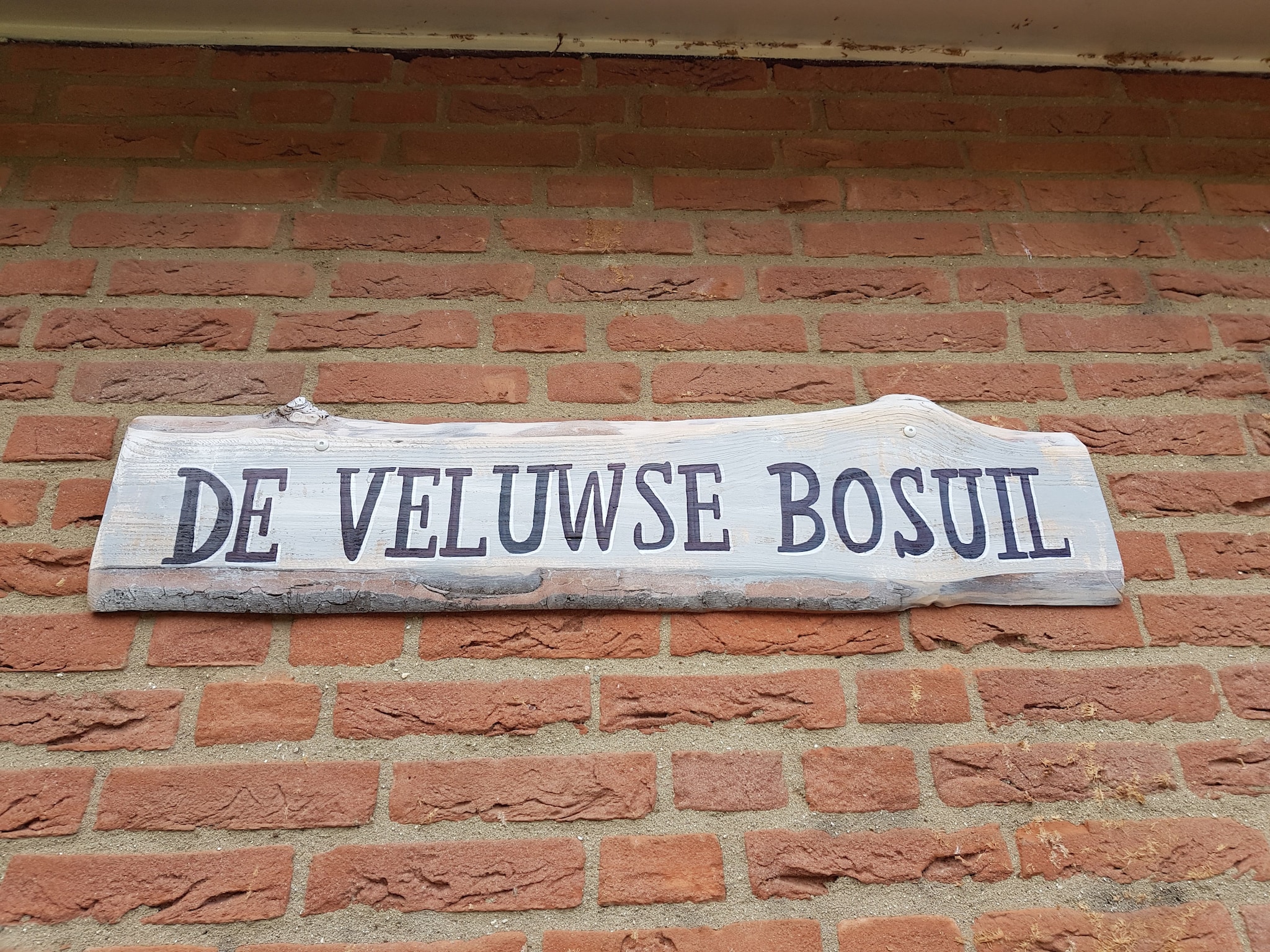   Veluwse Bosuil