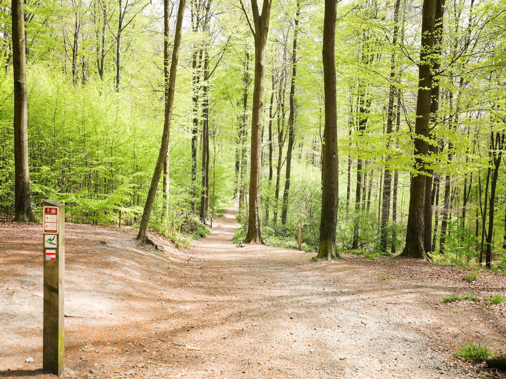   De Koppenberg