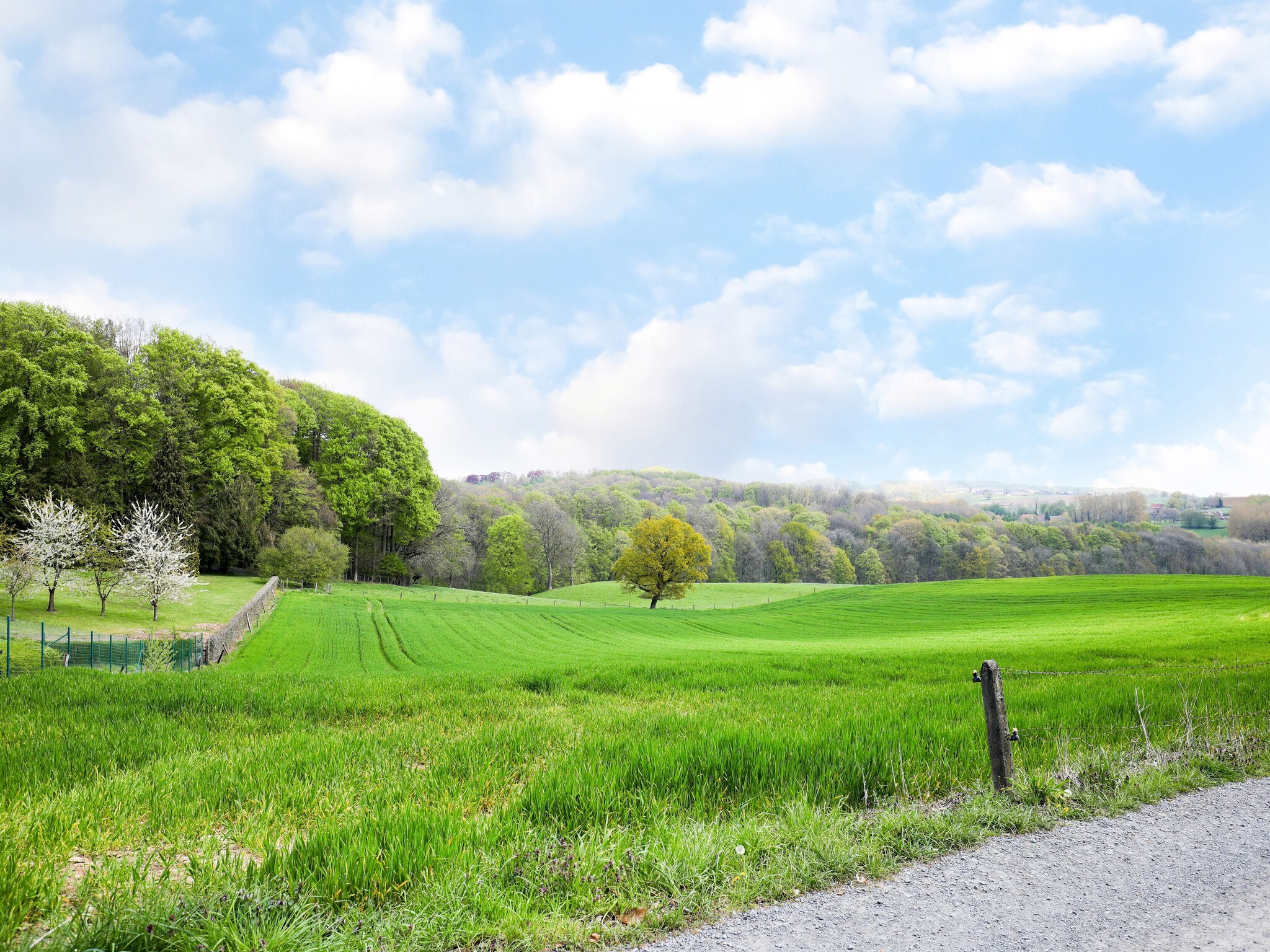   De Koppenberg