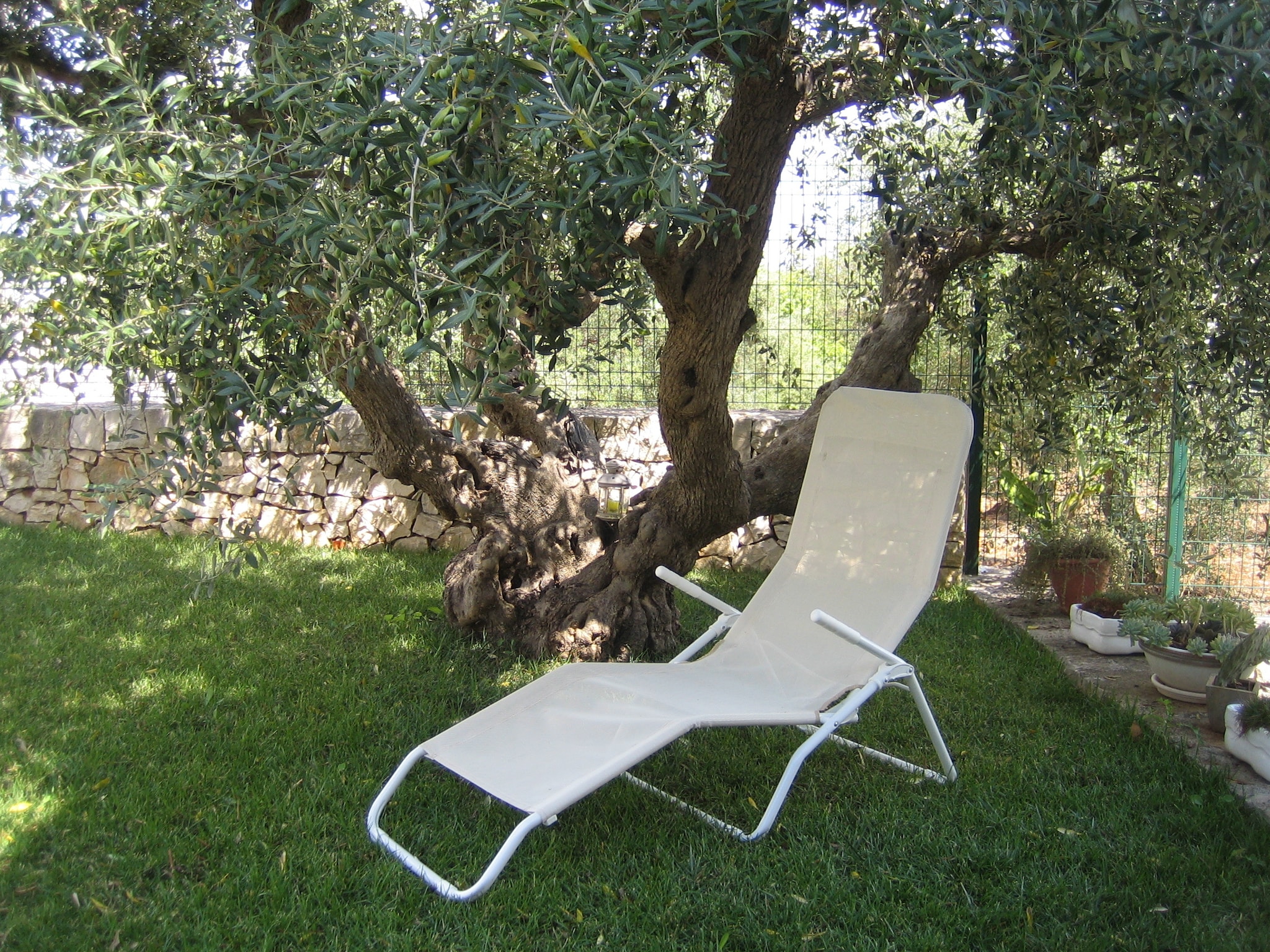 Ferienhaus Trullo dell'Ulivo per Due