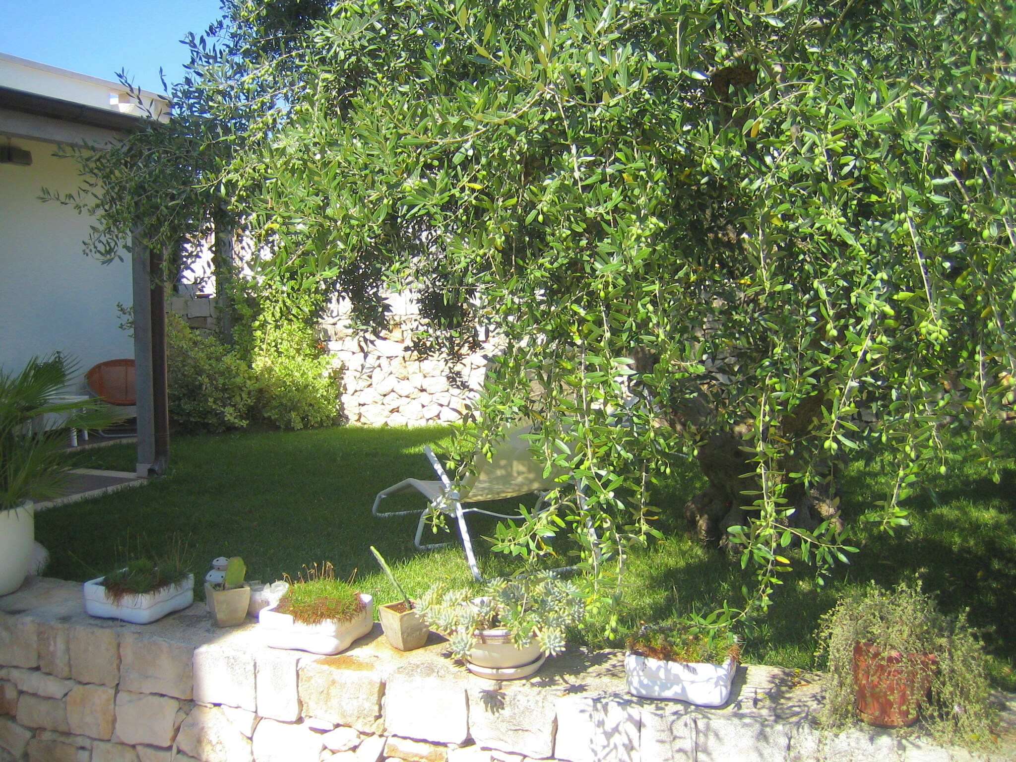 Ferienhaus Trullo dell'Ulivo per Due