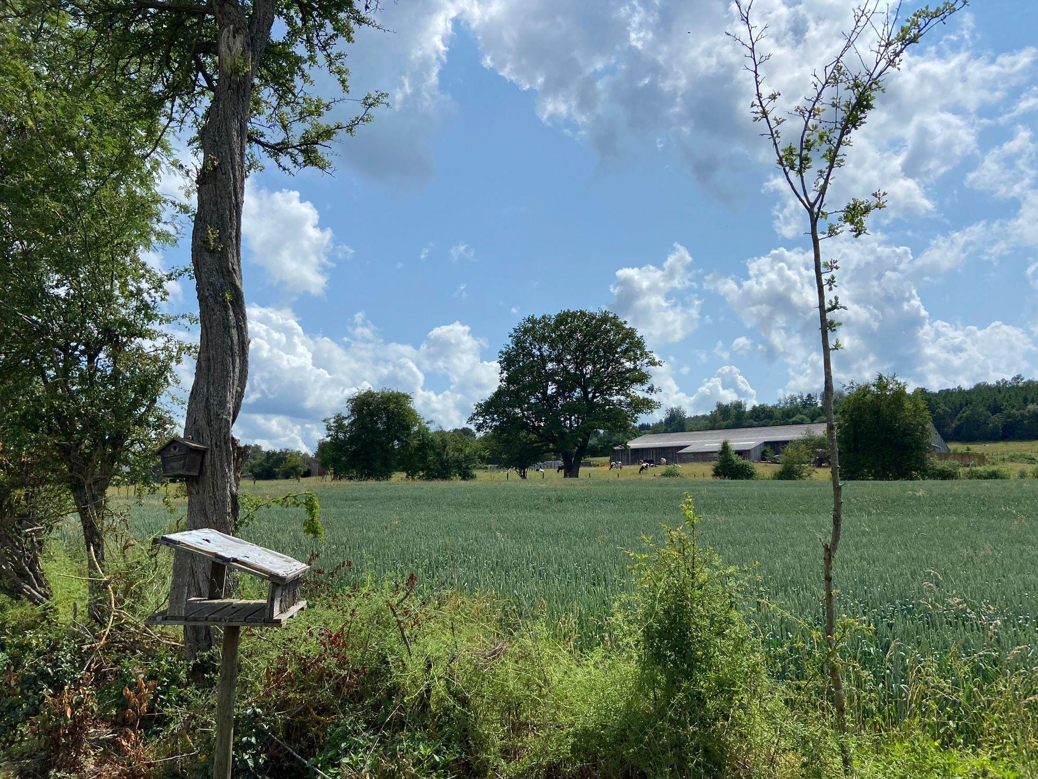   Très belle habitation à Lierneux pour 8