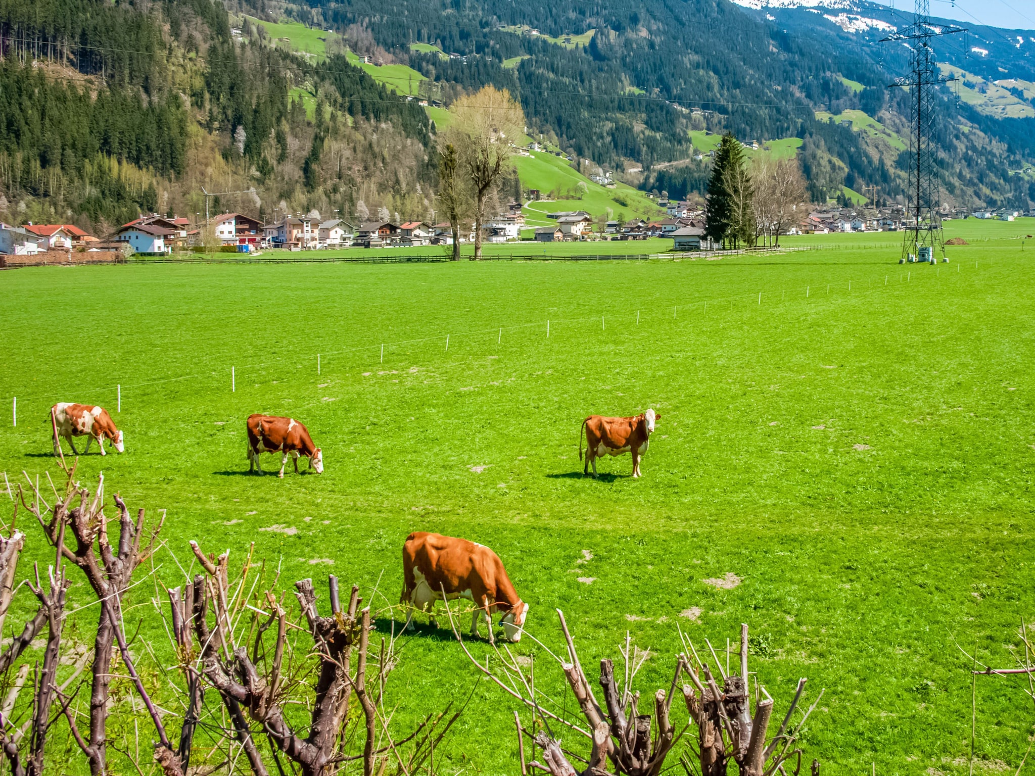 Leilighet Apartment Zillertalblick