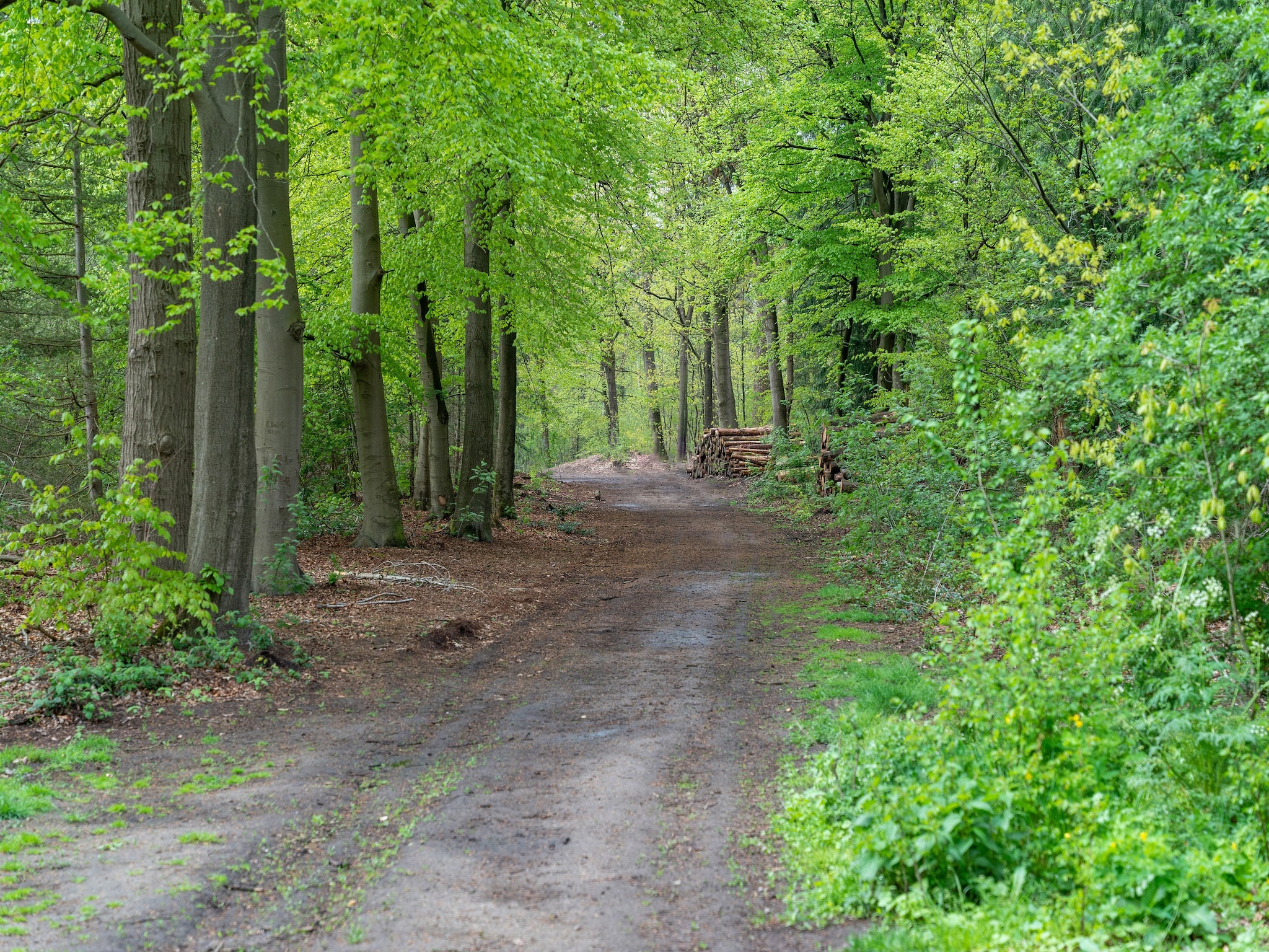   Chalet Kieftveen Voorthuizen 6 pax