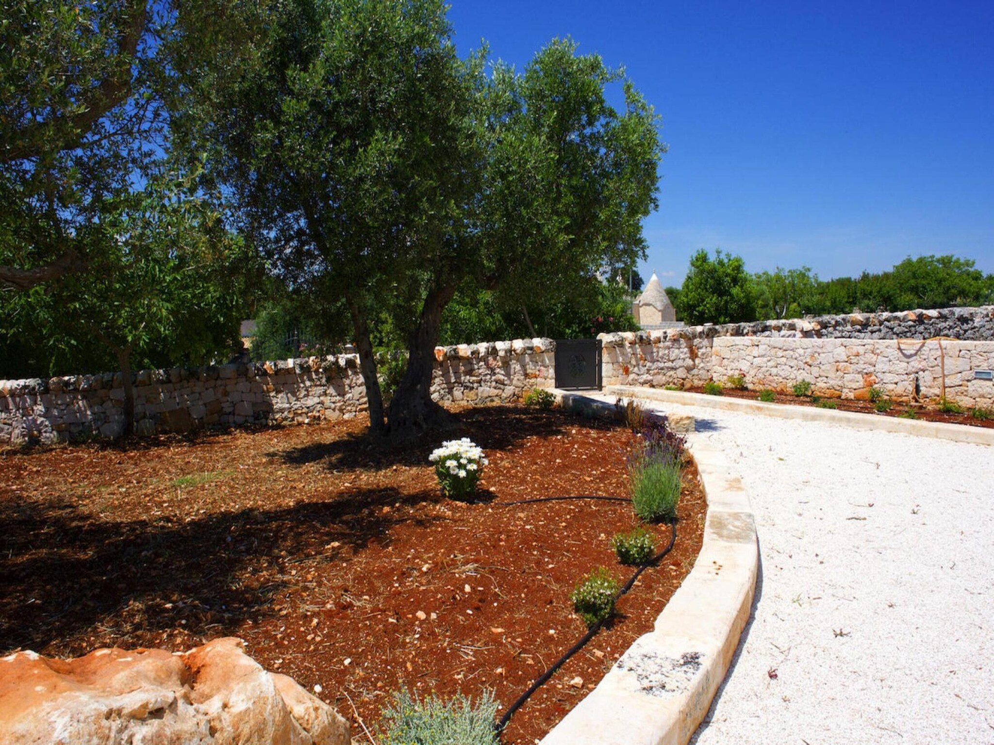  Ferienhaus Cisternino - Trulli Contrada Pico