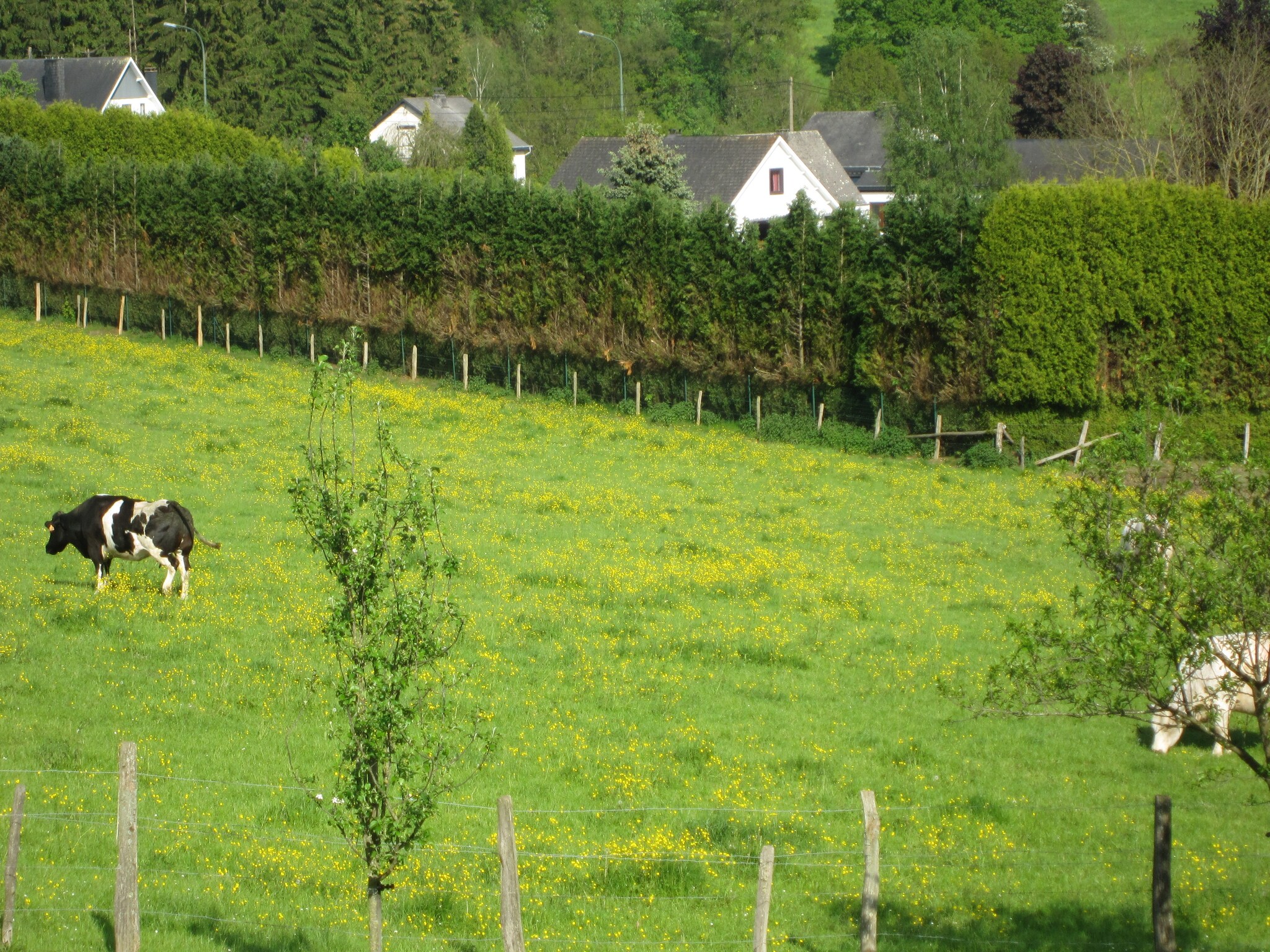   Gite du Courteroye 6 pax