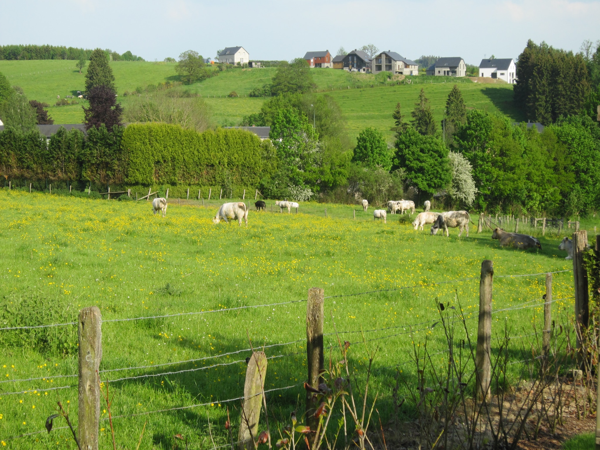   Gite du Courteroye 6 pax